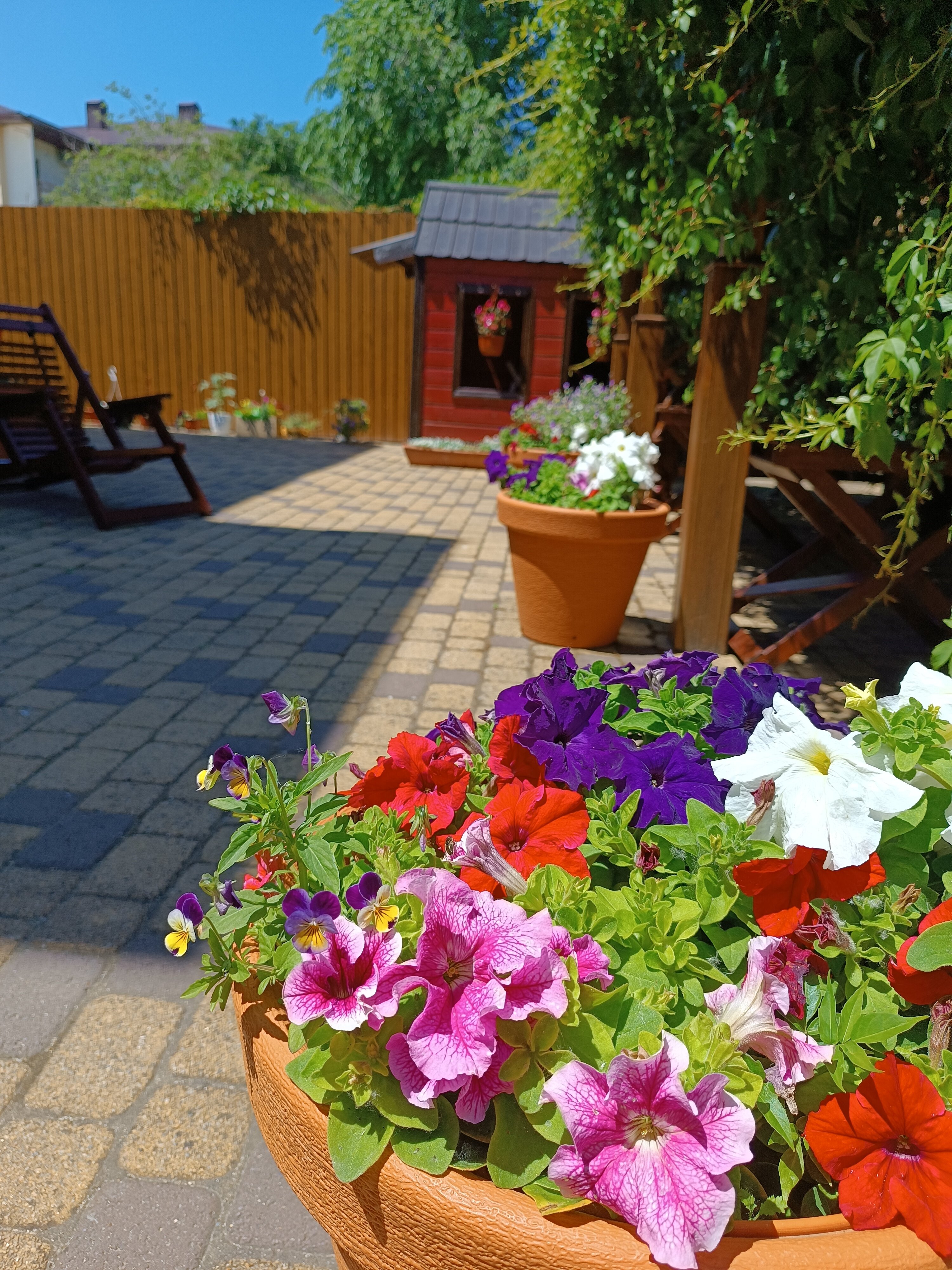 Фото Премьер