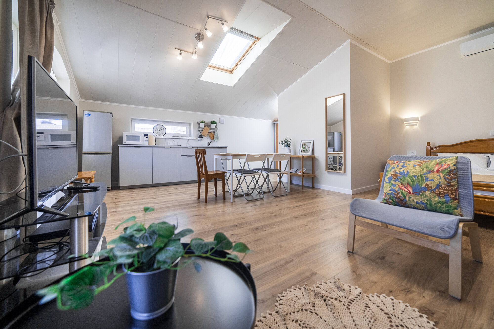 Фото Абрикос