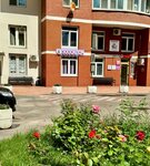 Royal Animals (Kakhovka Street, 25), pet salon