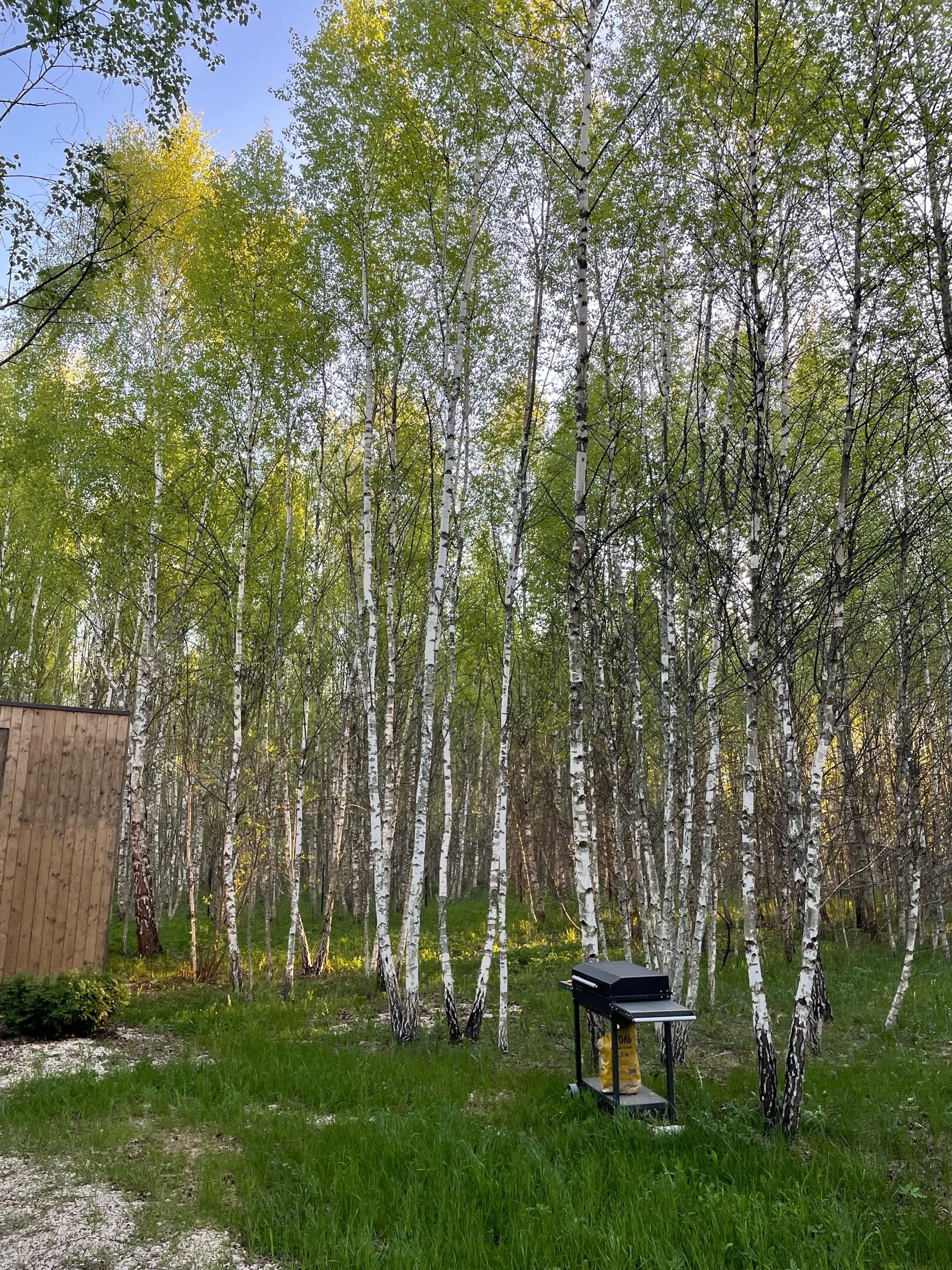 Фото Два зайца