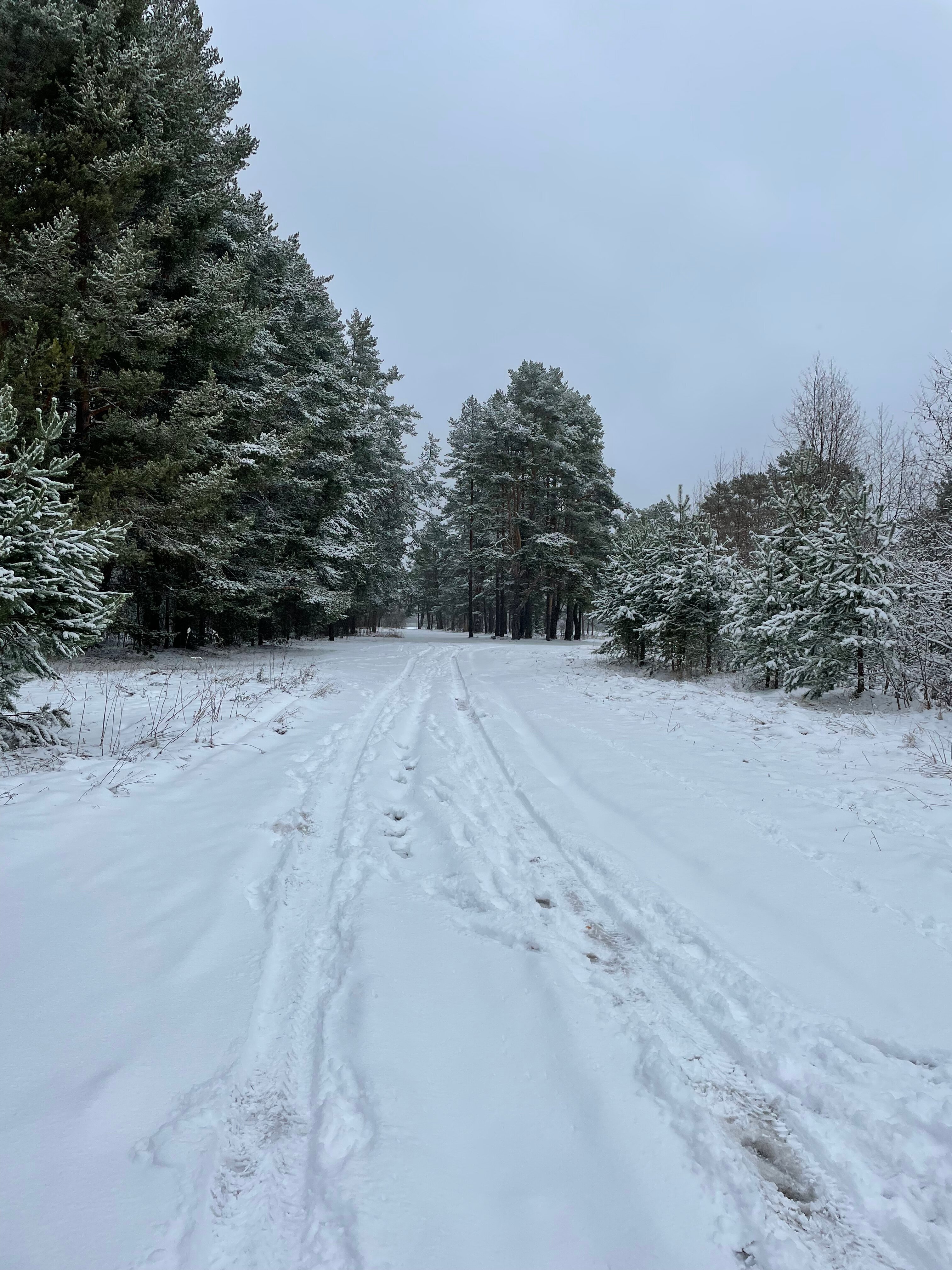 Фото Снетковское Озеро