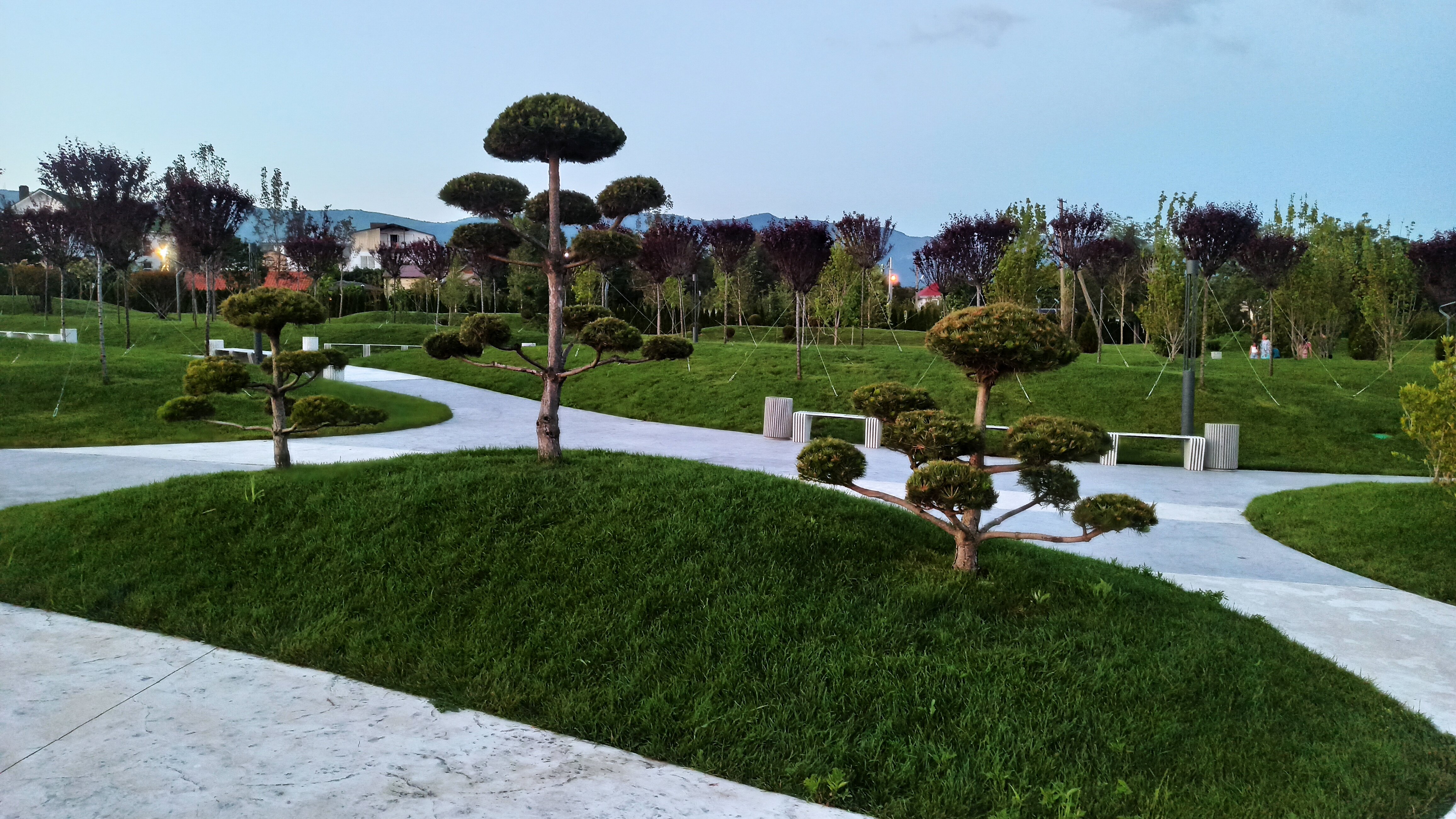 Фото Альянс