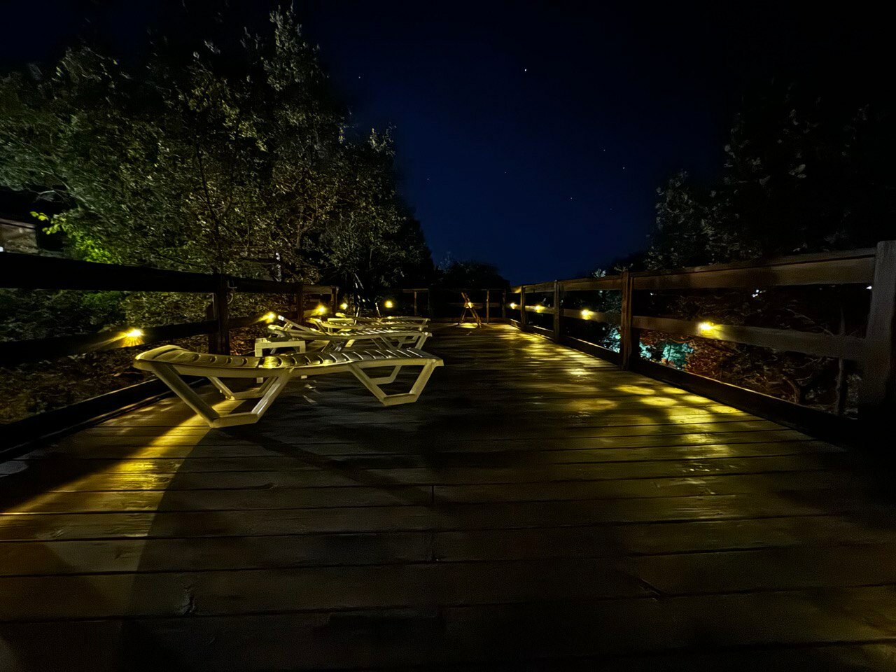 Фото Бегом к нам