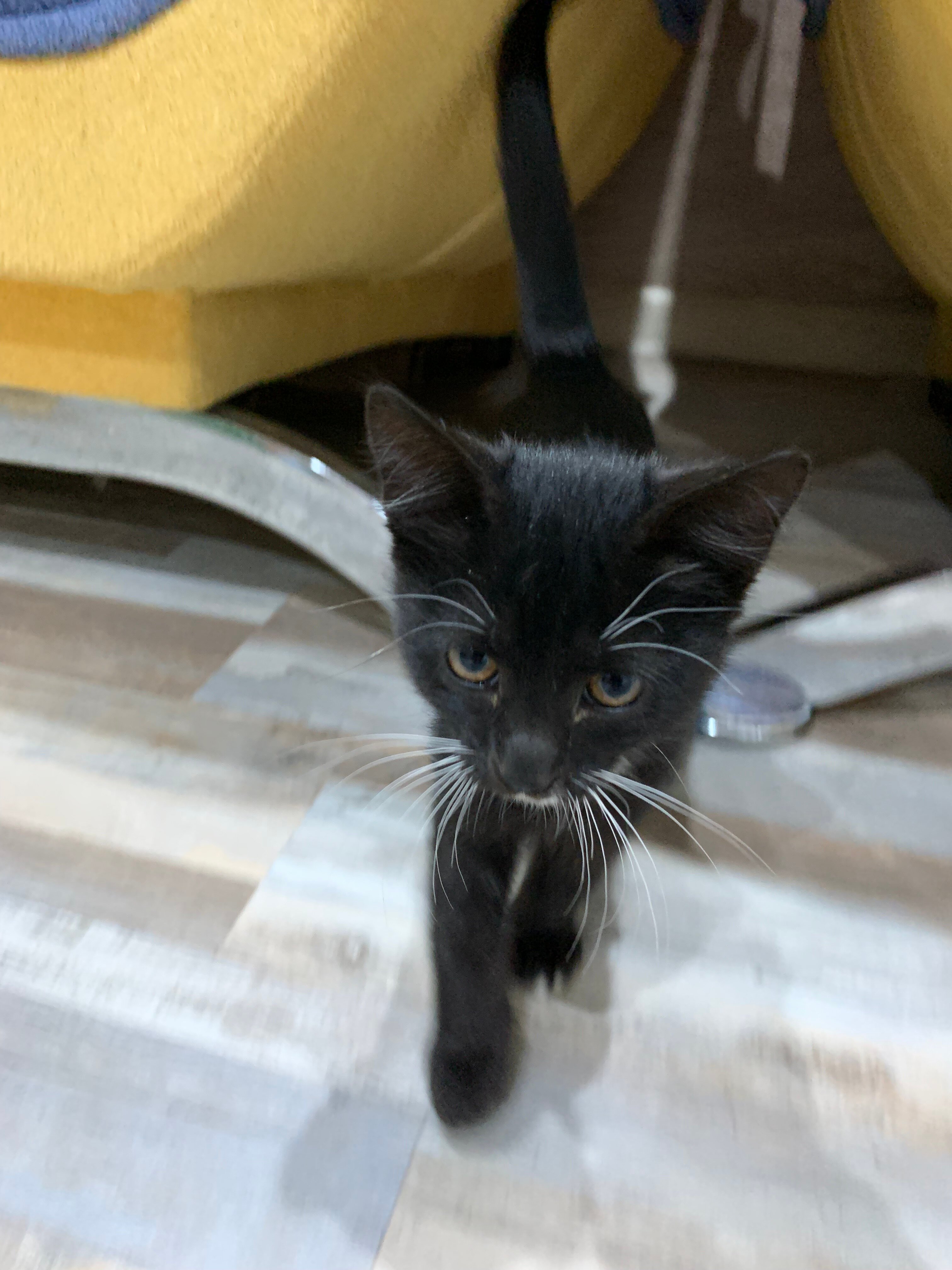 Фото Теремок