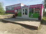 Давайс (Nizhniy Novgorod Region, Kstovskiy munitsipalny okrug, selskiy posyolok Zhdanovskiy), ice cream