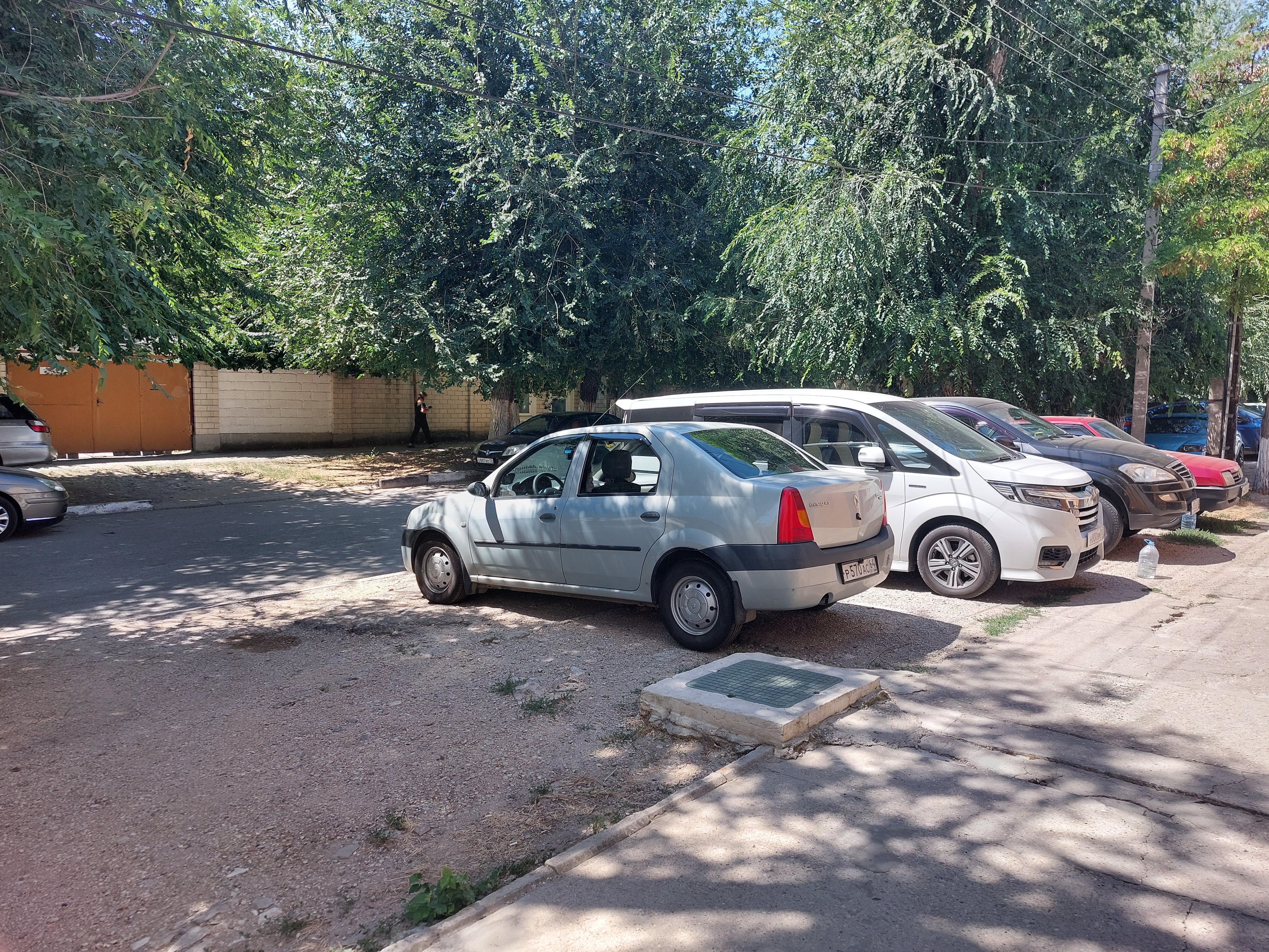 Фото Магнолия