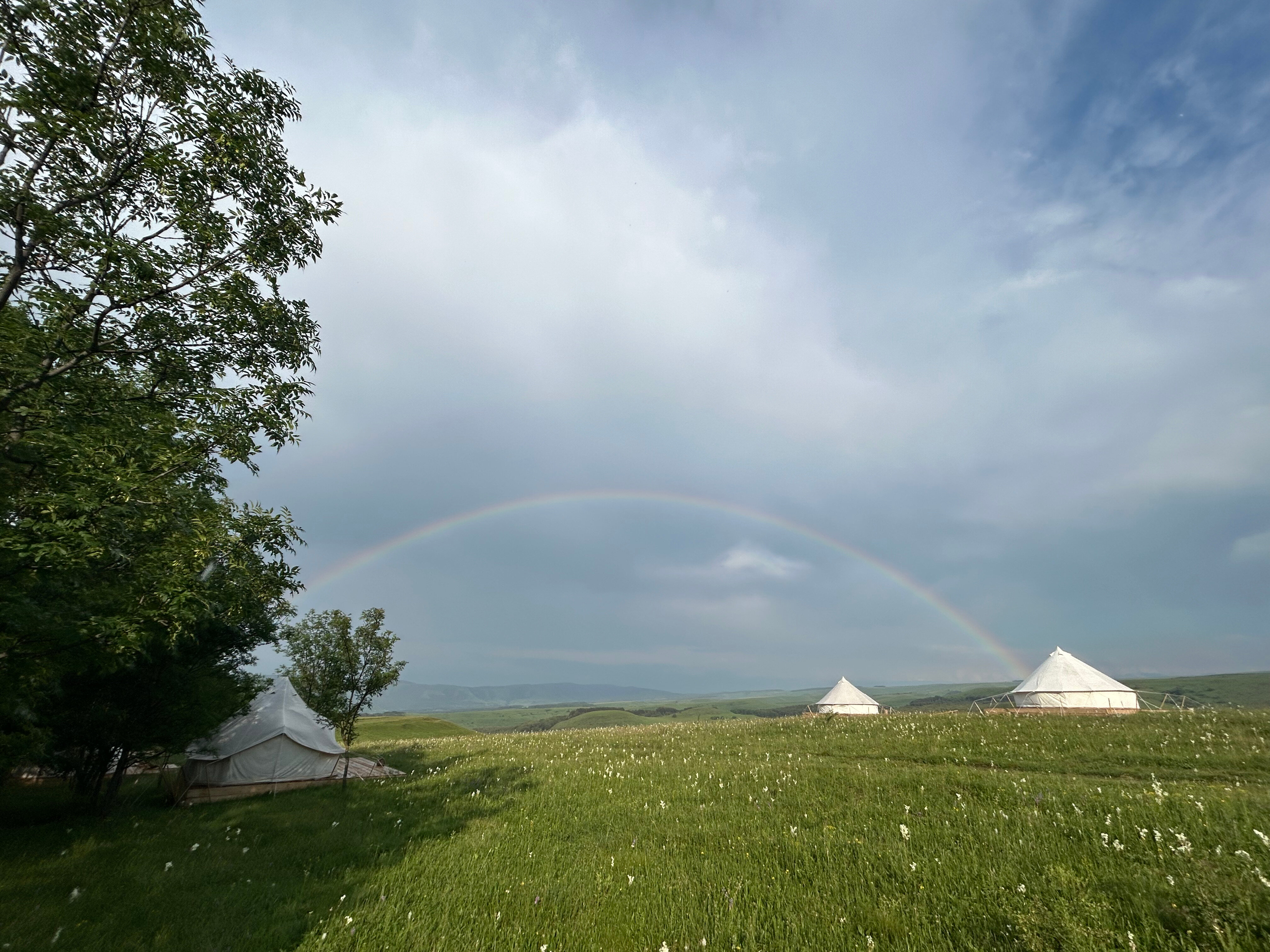 Фото Медовые Холмы