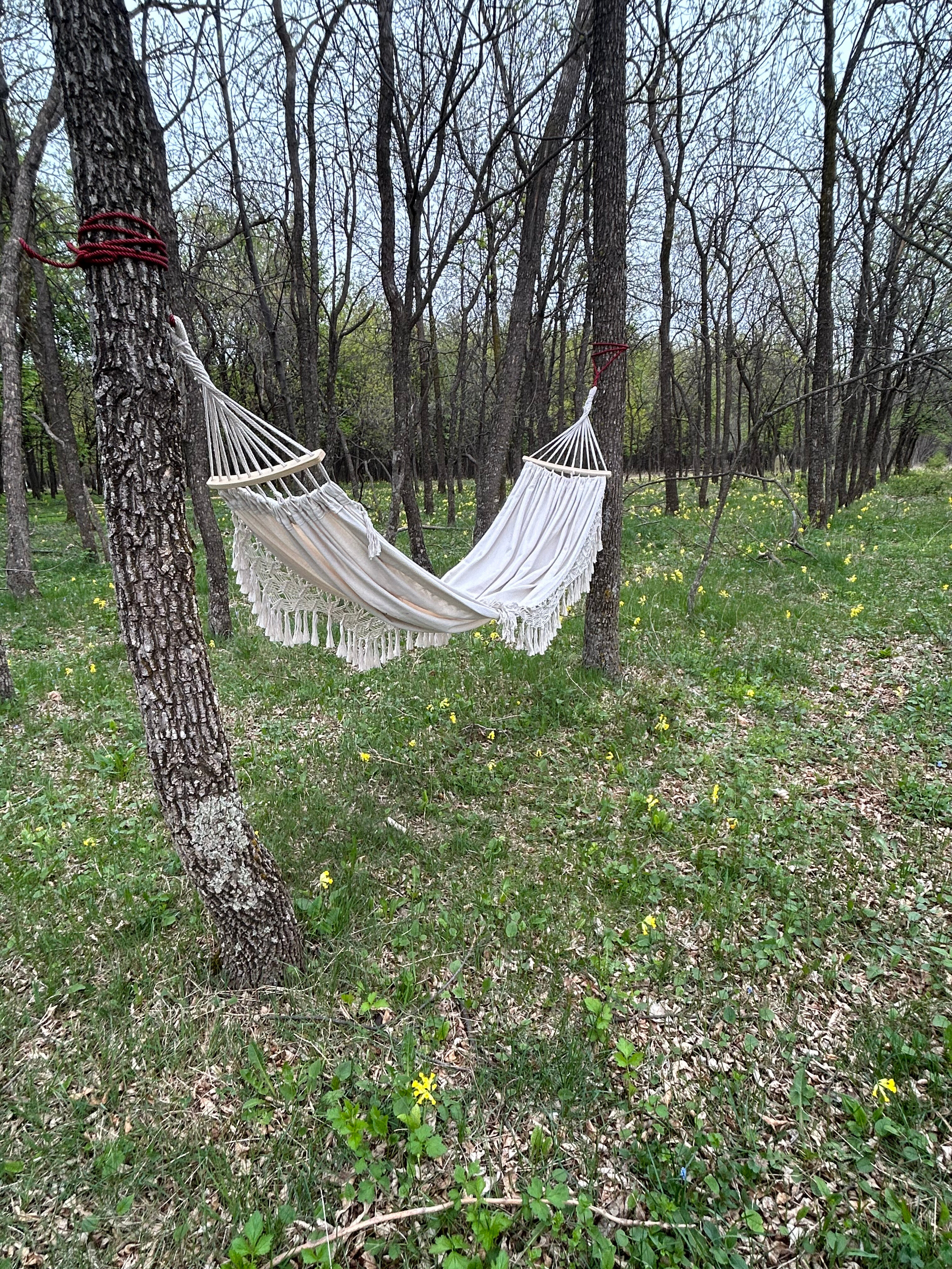 Фото Медовые Холмы