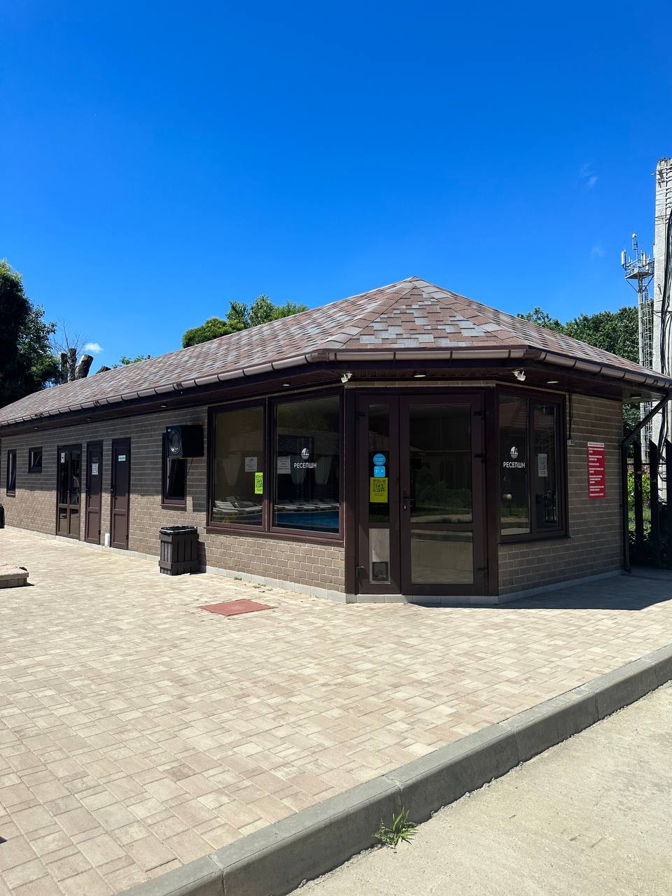 Фото Кипарис