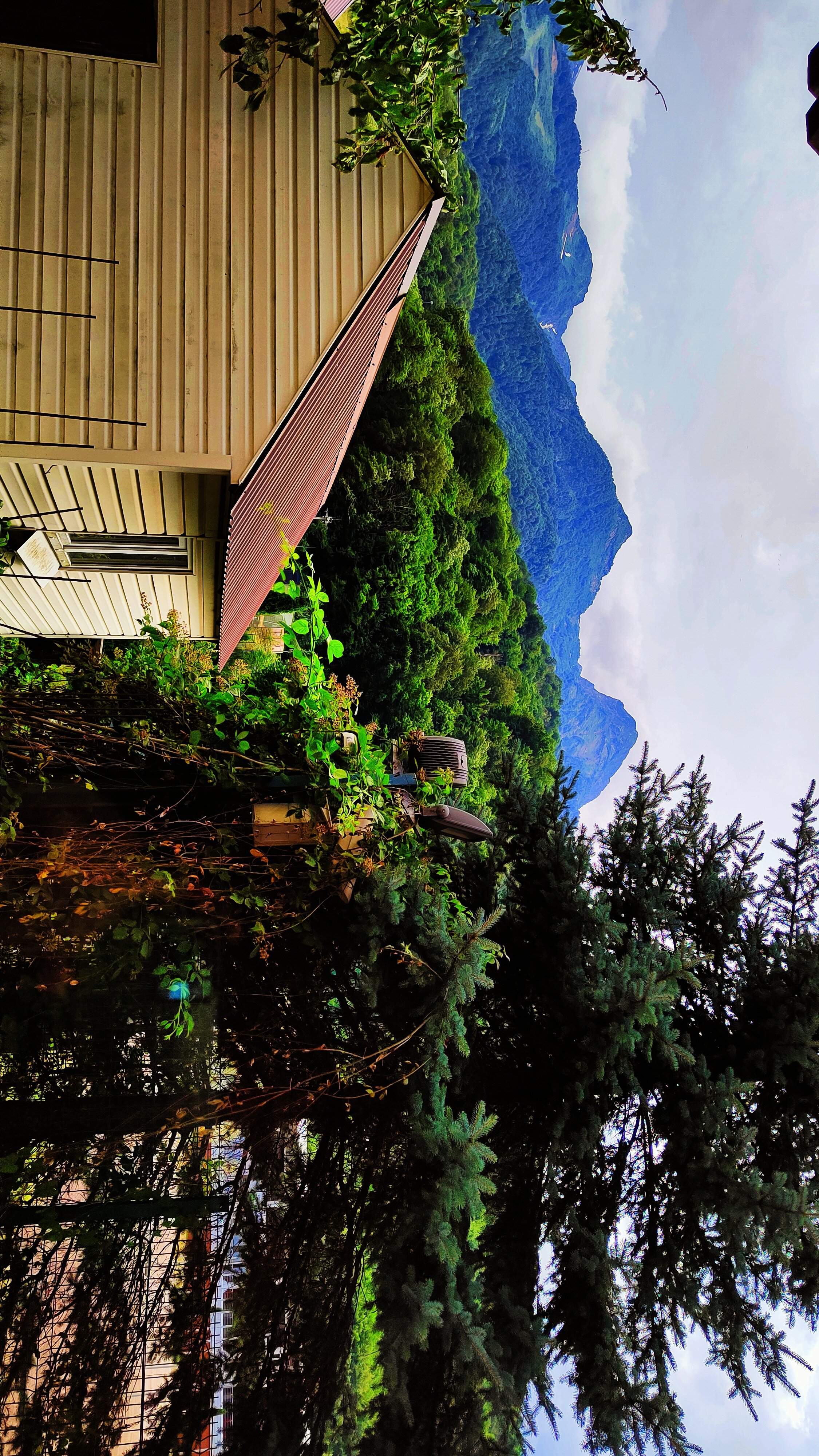 Фото Гала Плаза