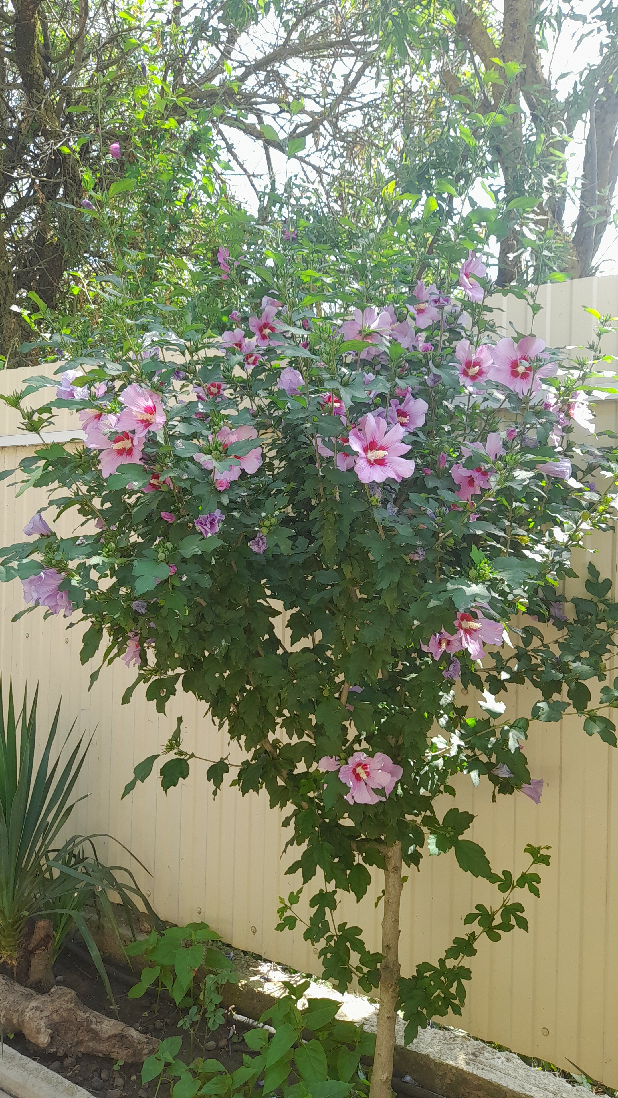 Фото Гостевой дом на Морской