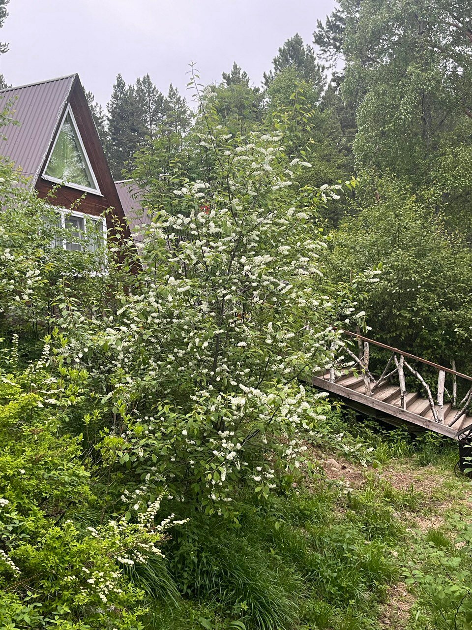 Фото Усадьба Байкальский край