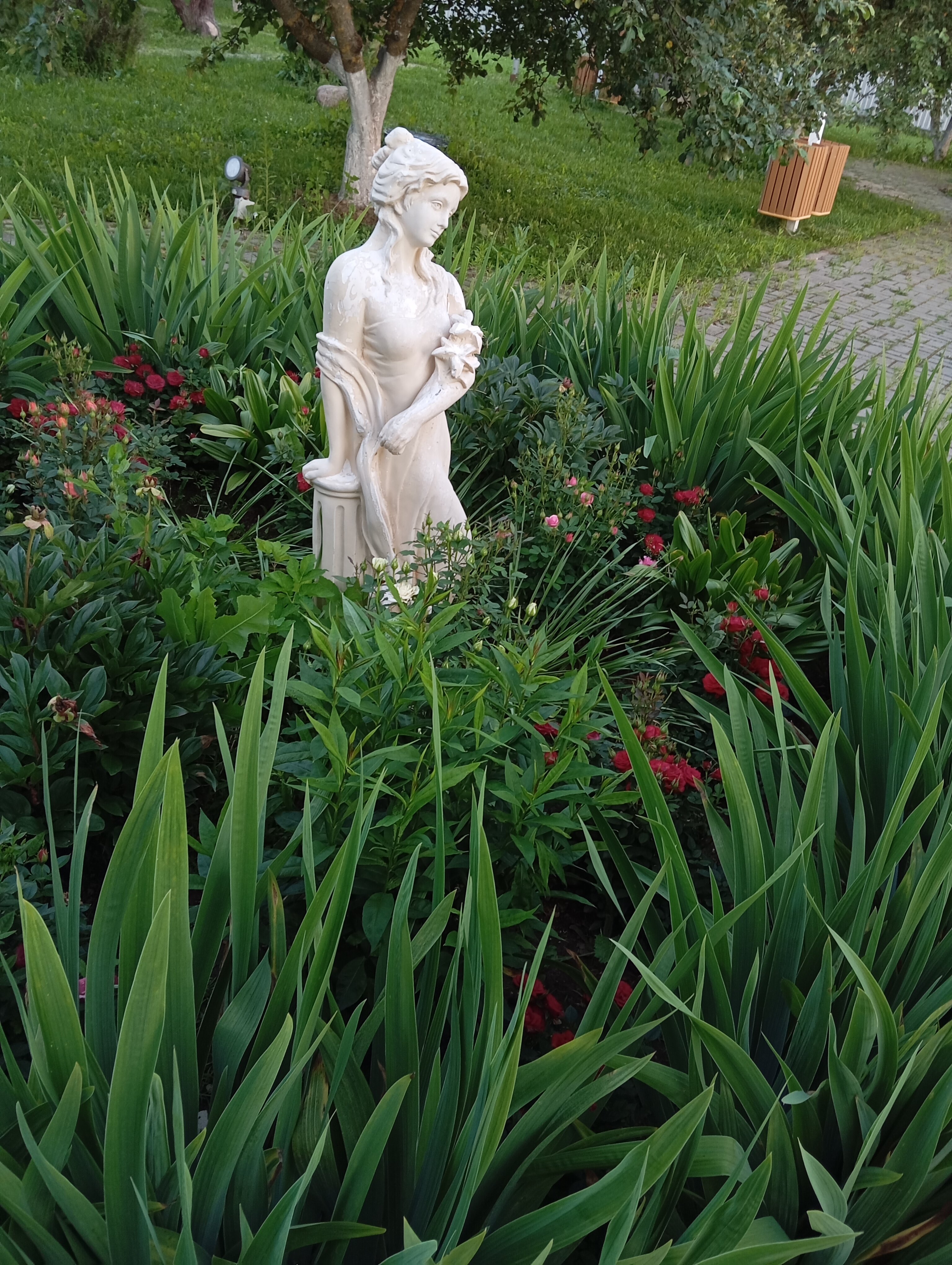 Фото Форест