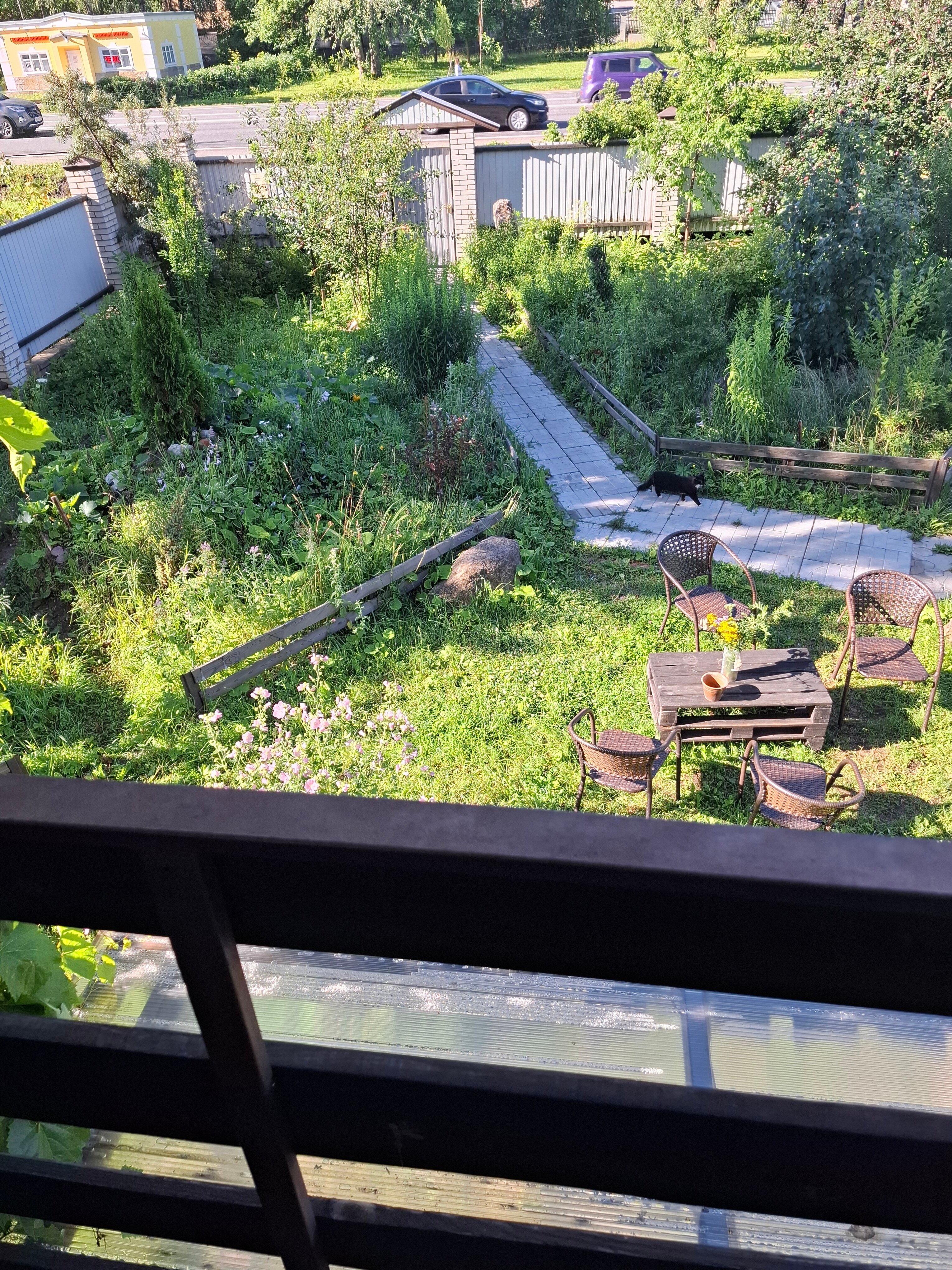 Фото Старая Стрельна