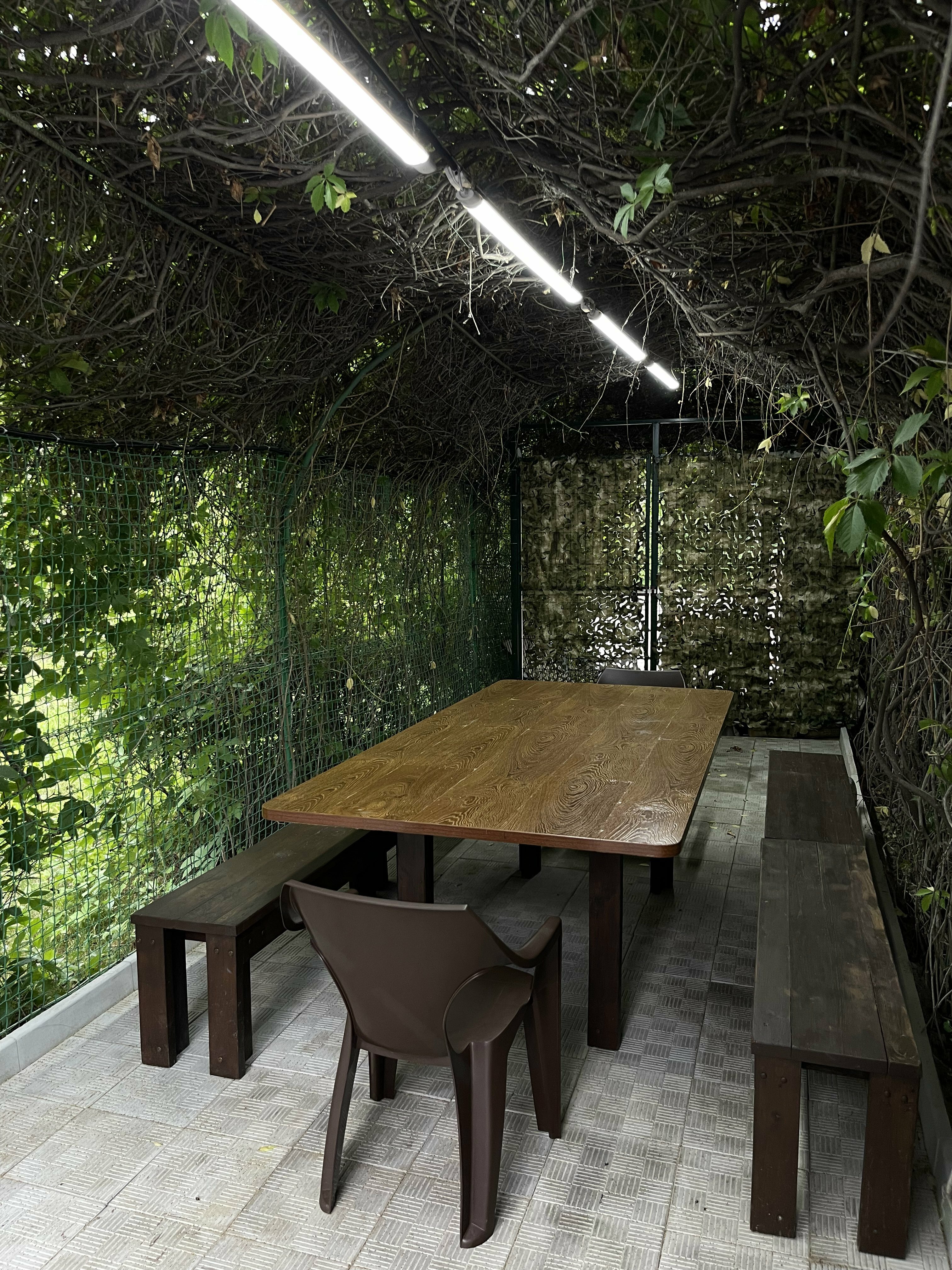 Фото Три Кита