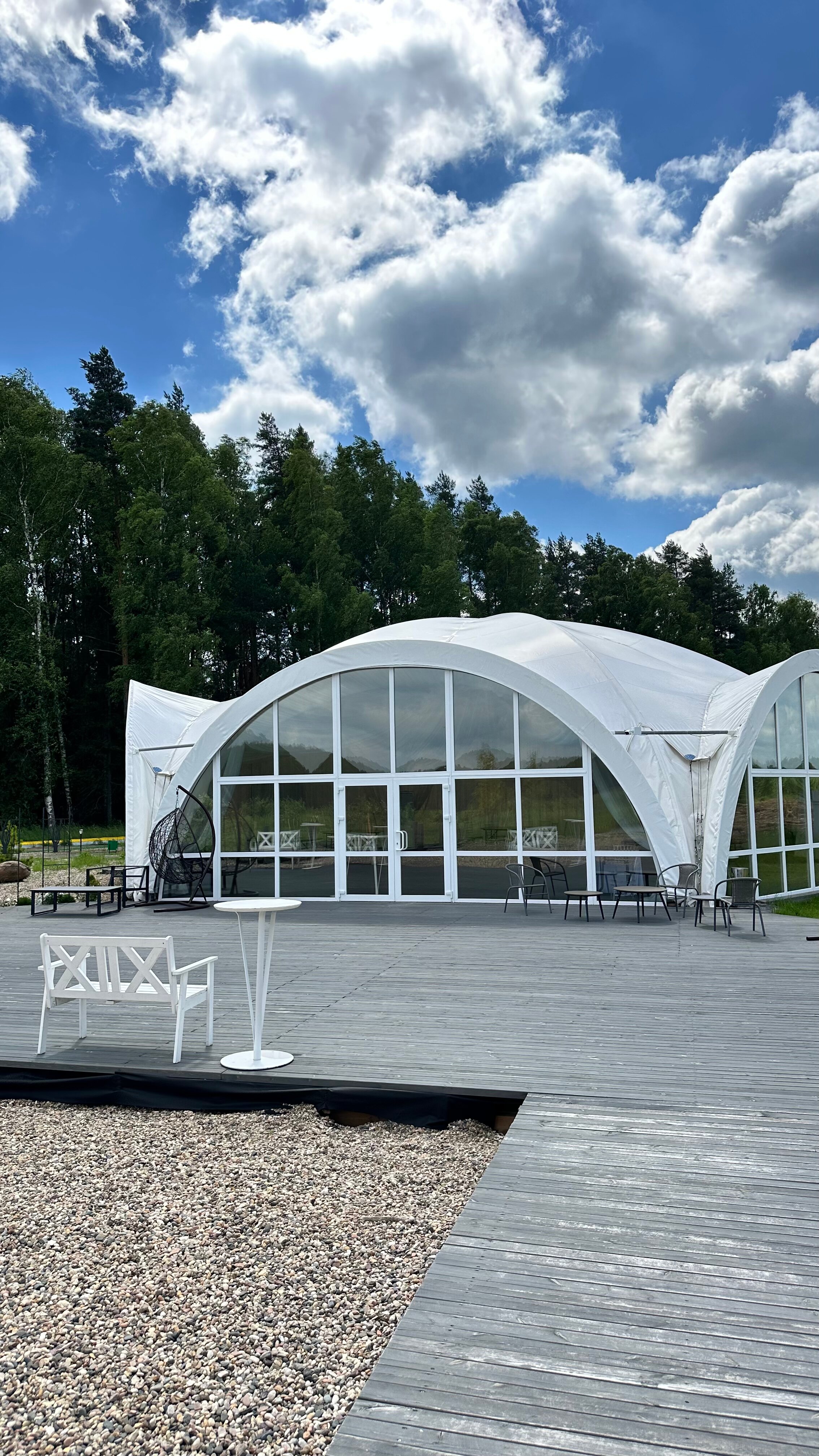 Фото Романов лес