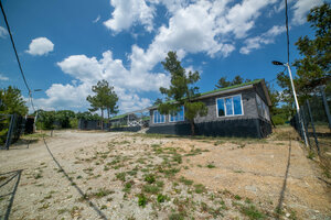 Елки и Иголки