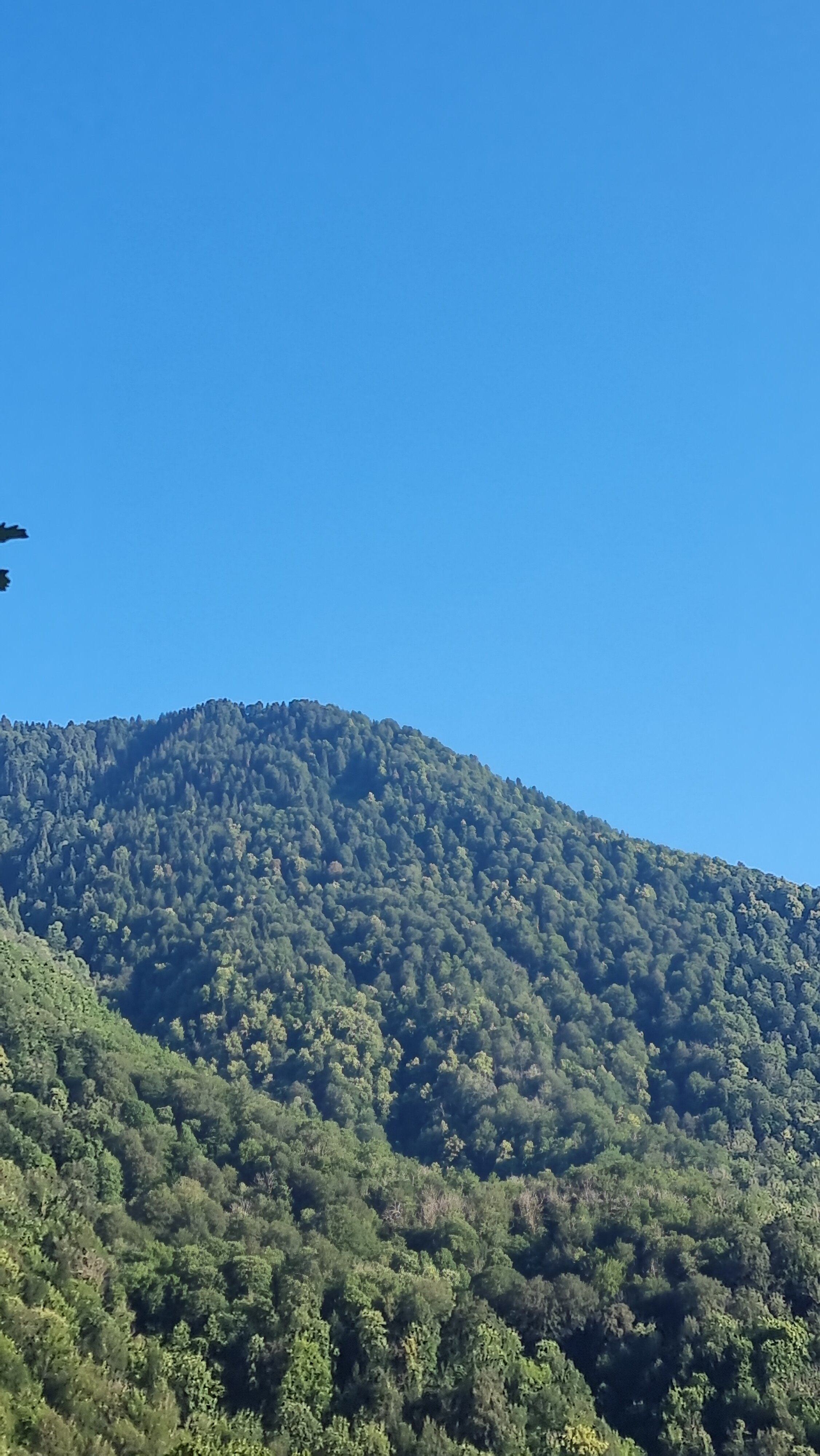 Фото Mountain hill