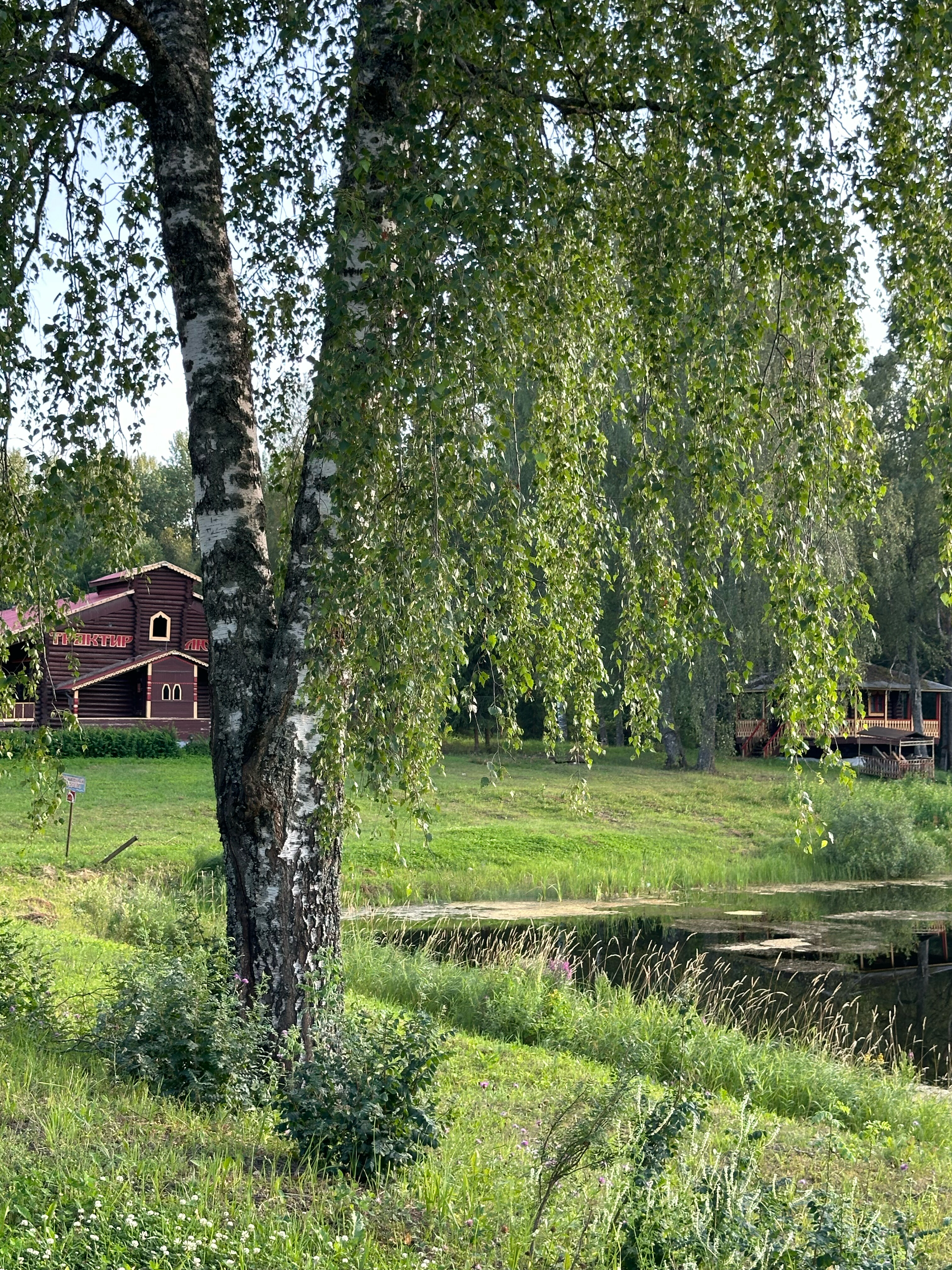 Фото Любава