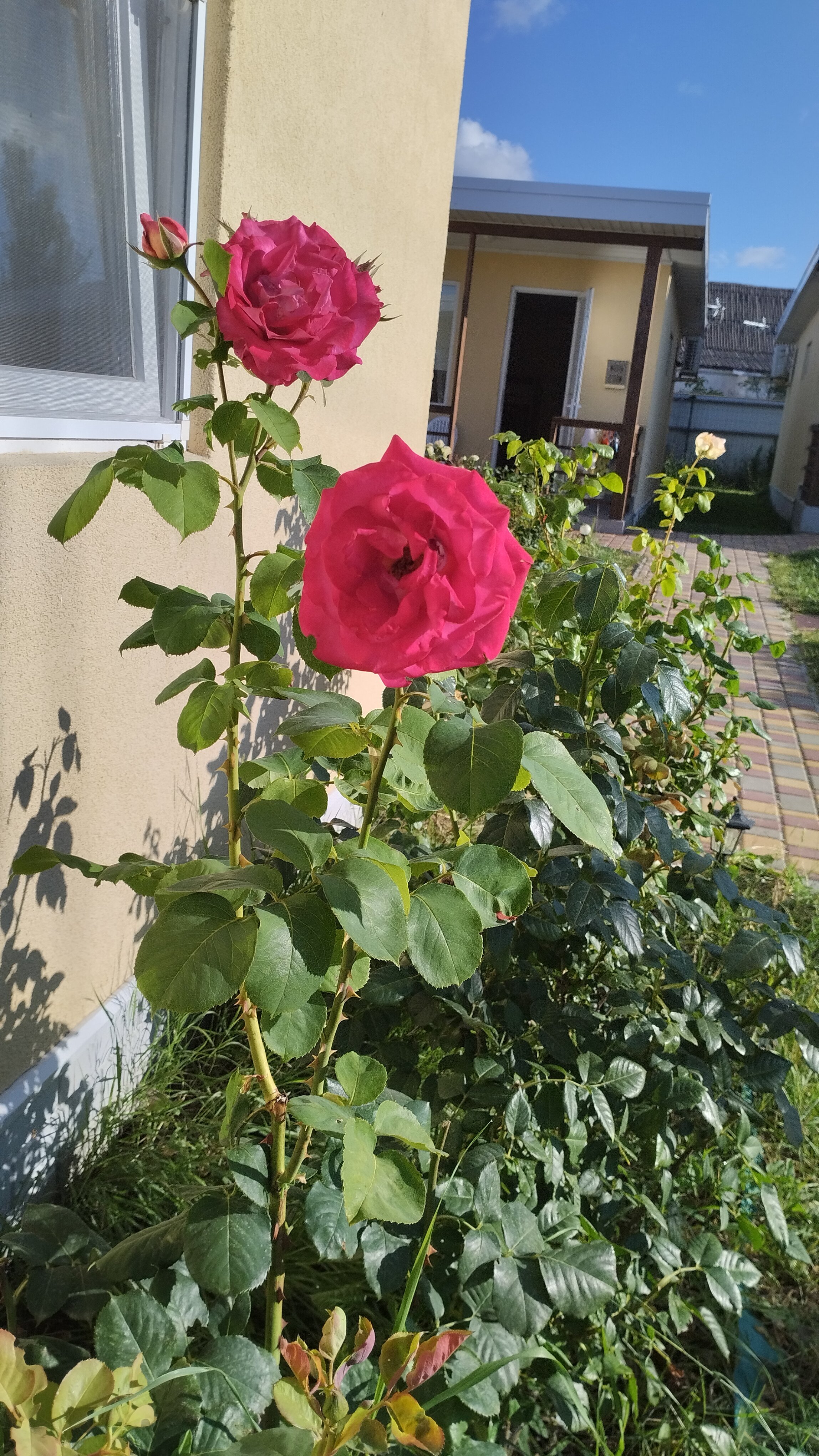 Фото Усадьба Приморское