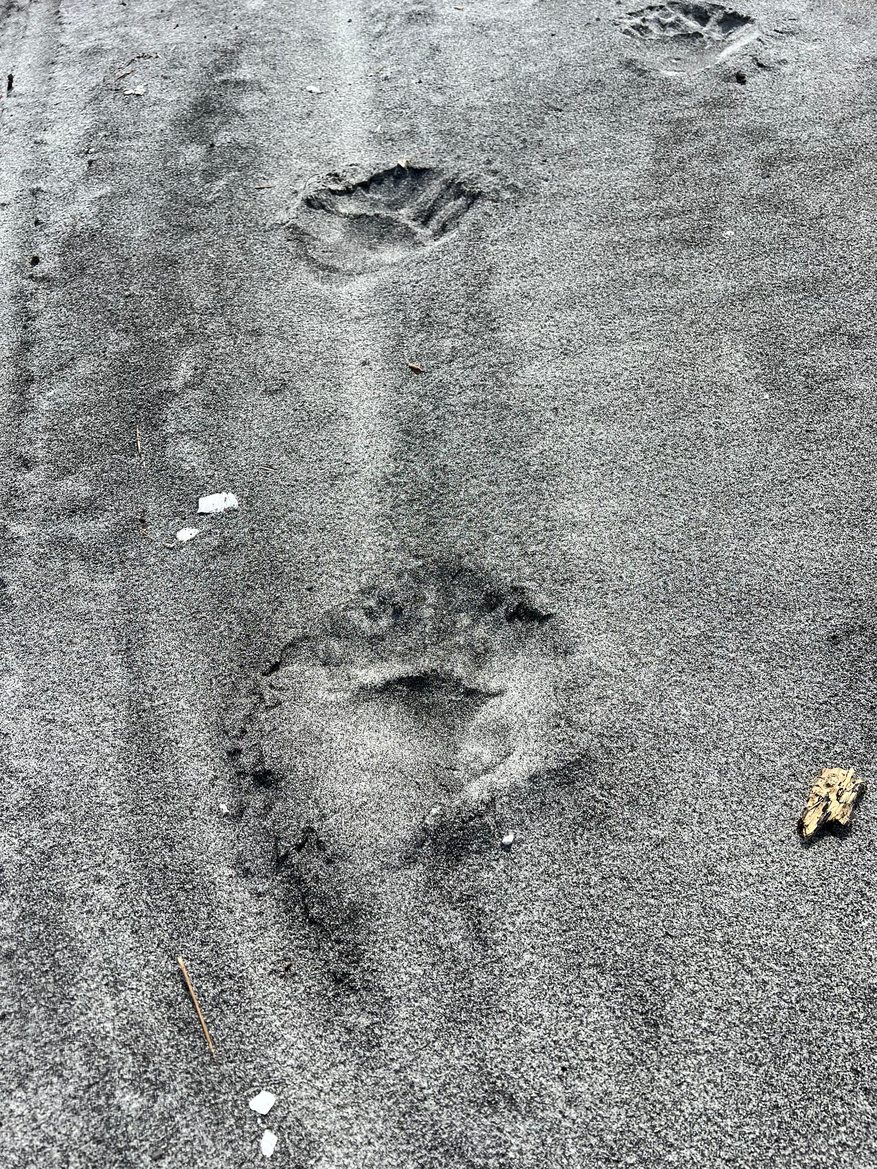 Фото Белые Скалы