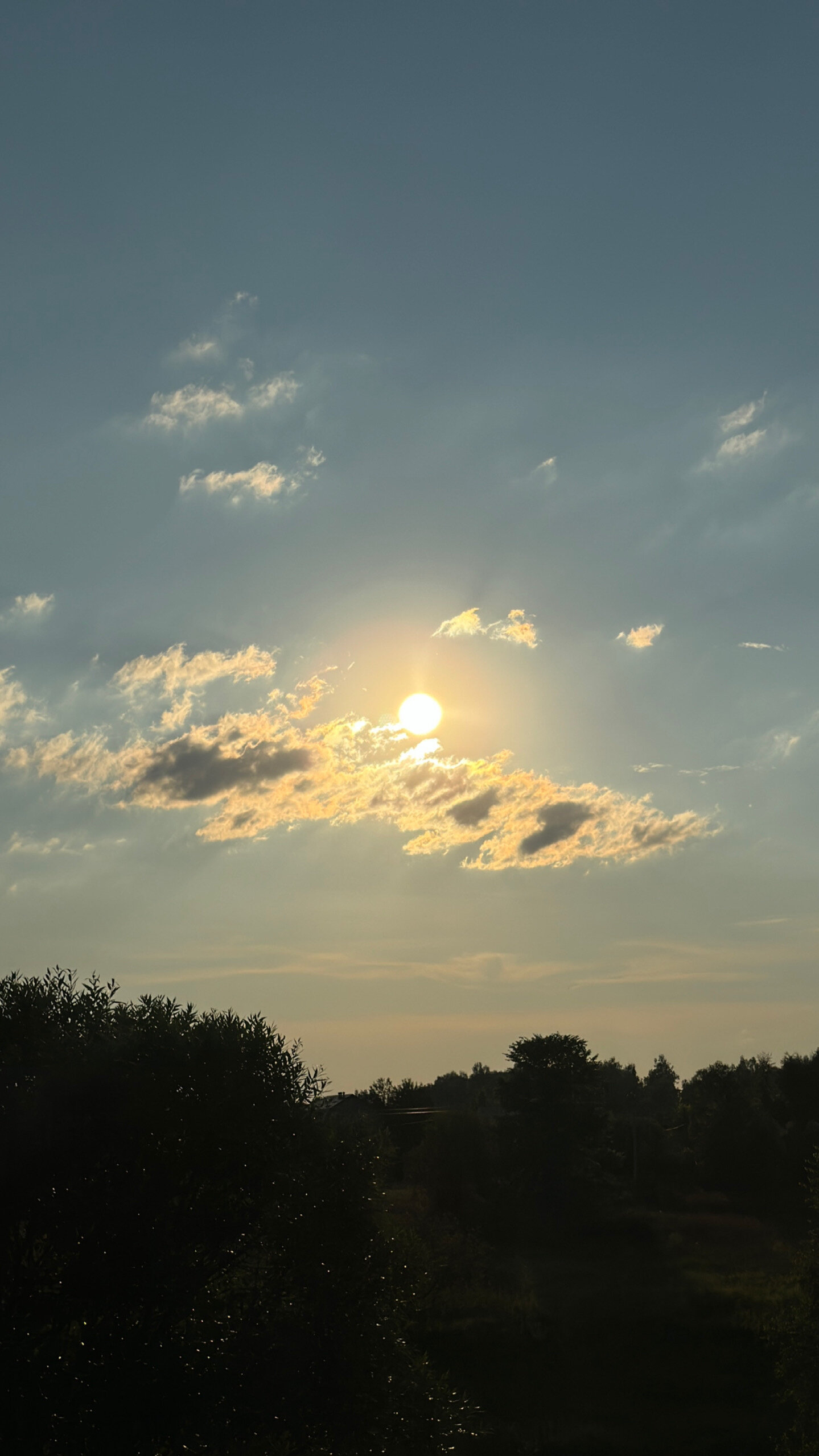 Фото Panorama Grand Berloga
