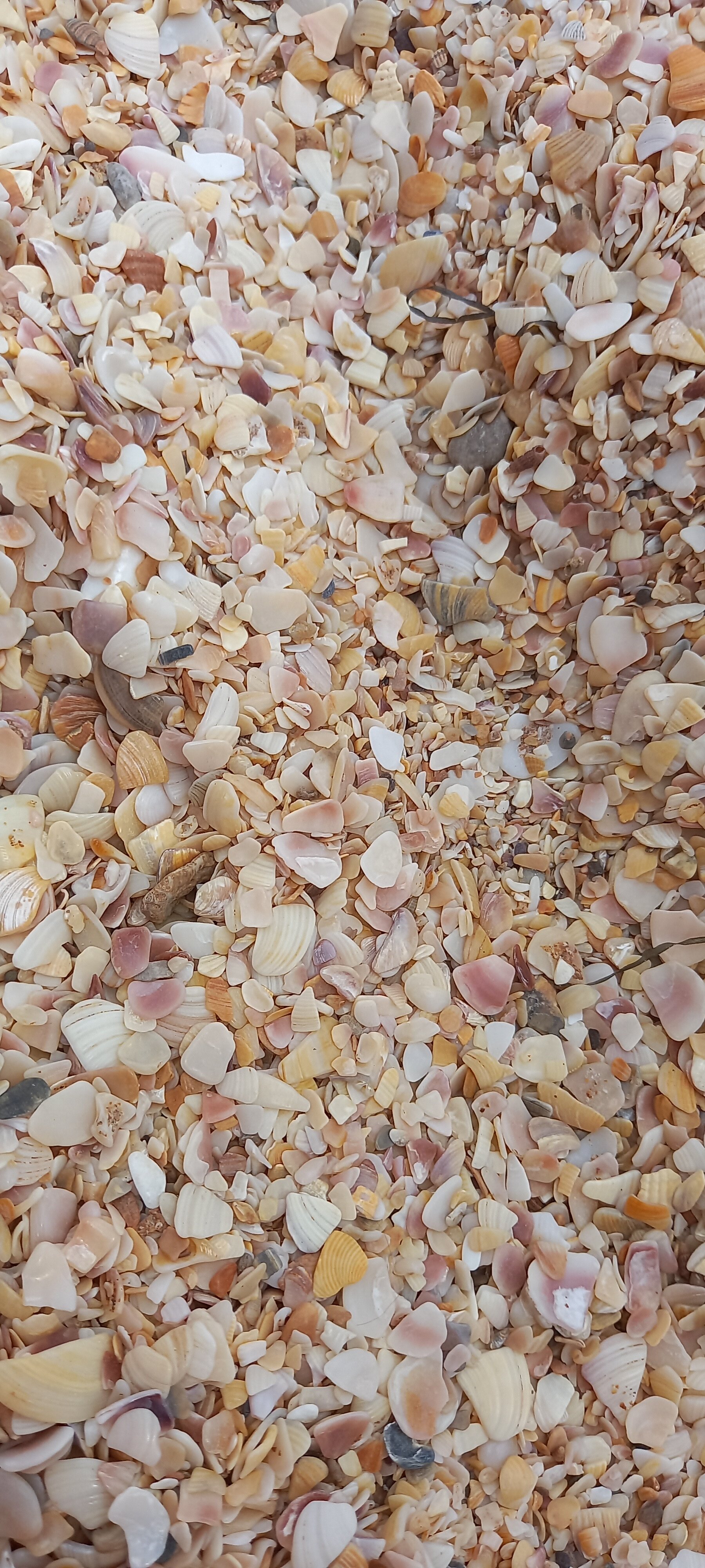 Фото Вилла Людмила