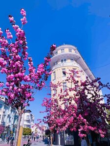 Хостел Hostel Musala