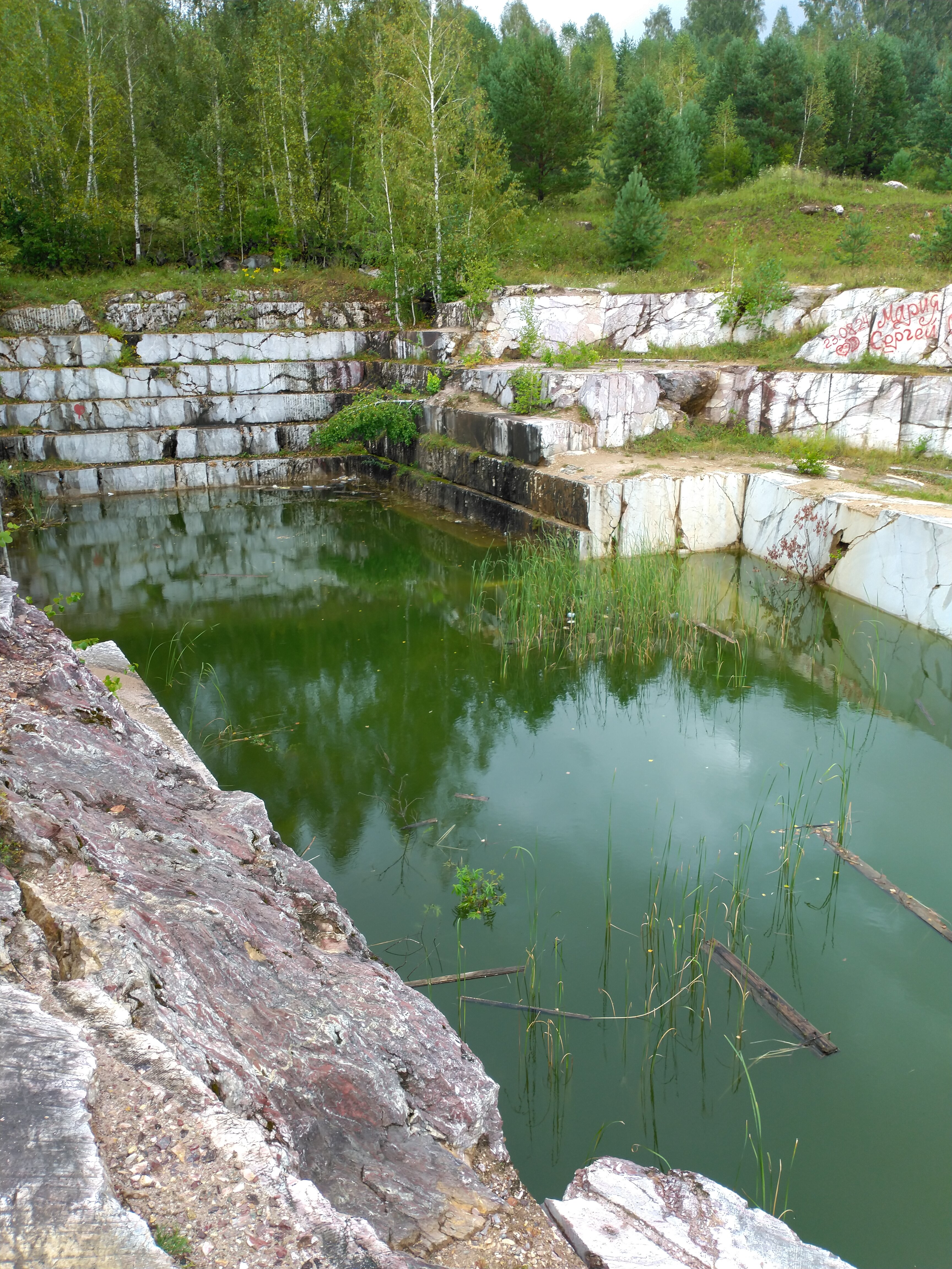 Фото Глэмпинг Стрекоза