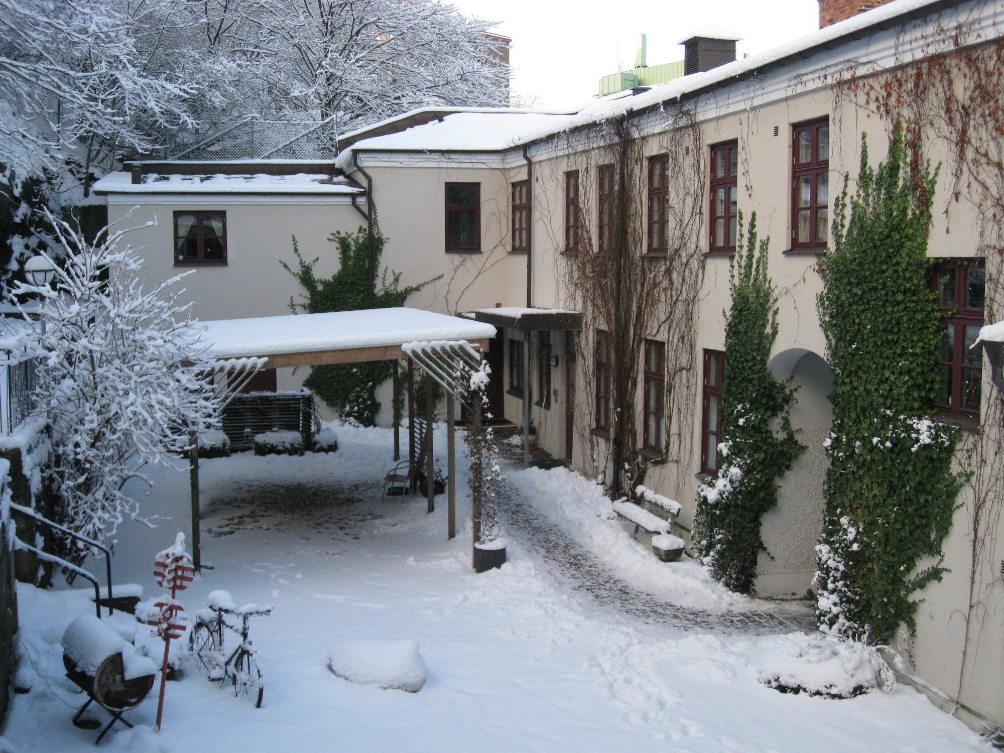 Фото 117522177693