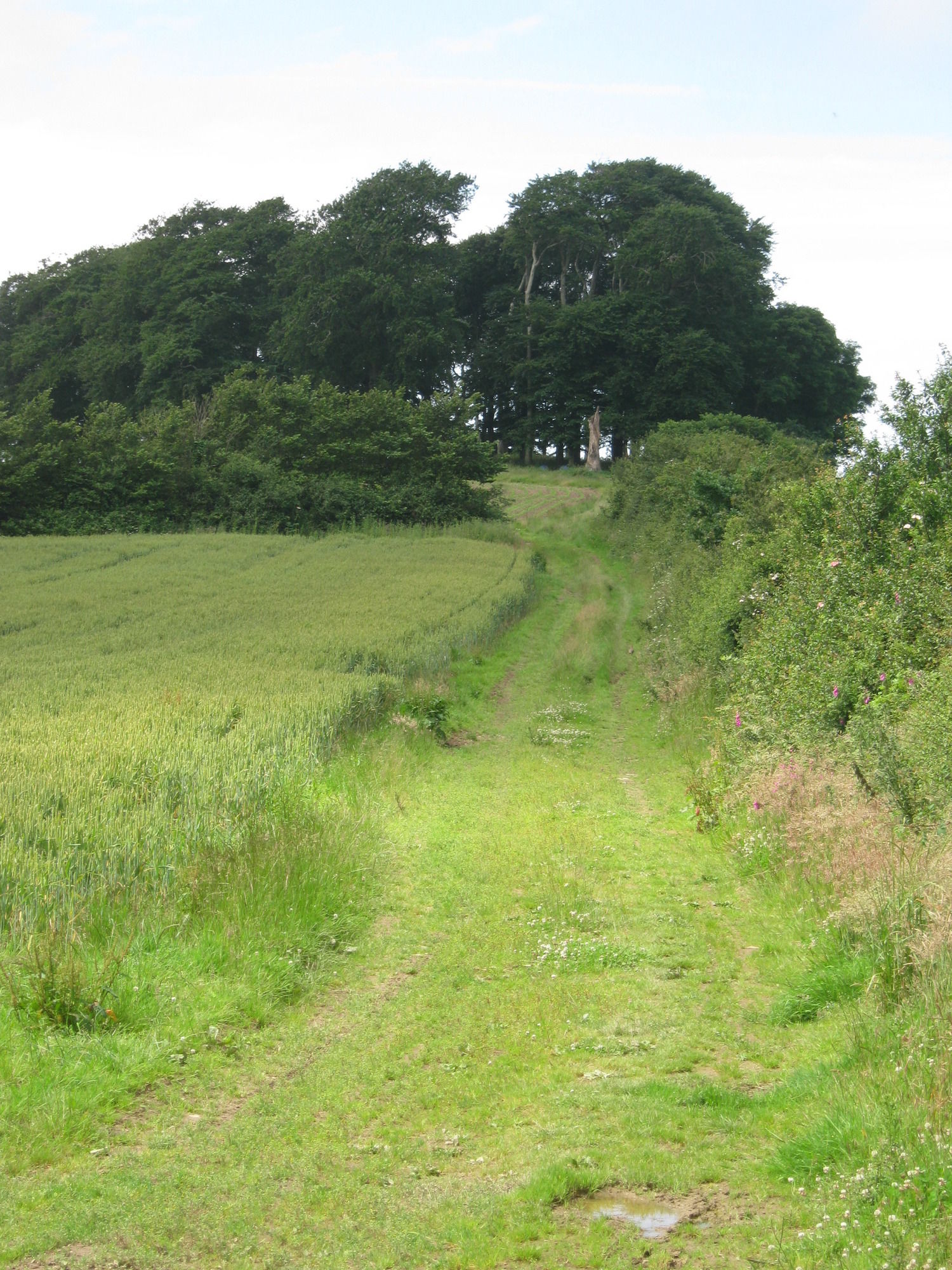 Фото Hollamoor Farm B&b