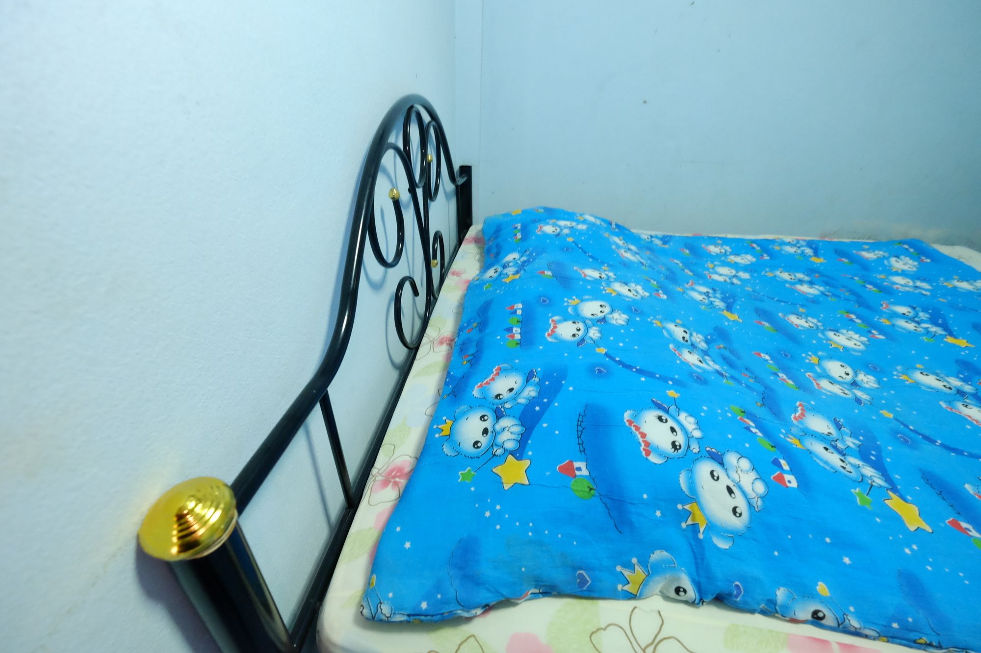 Фото Leo Park Guest House