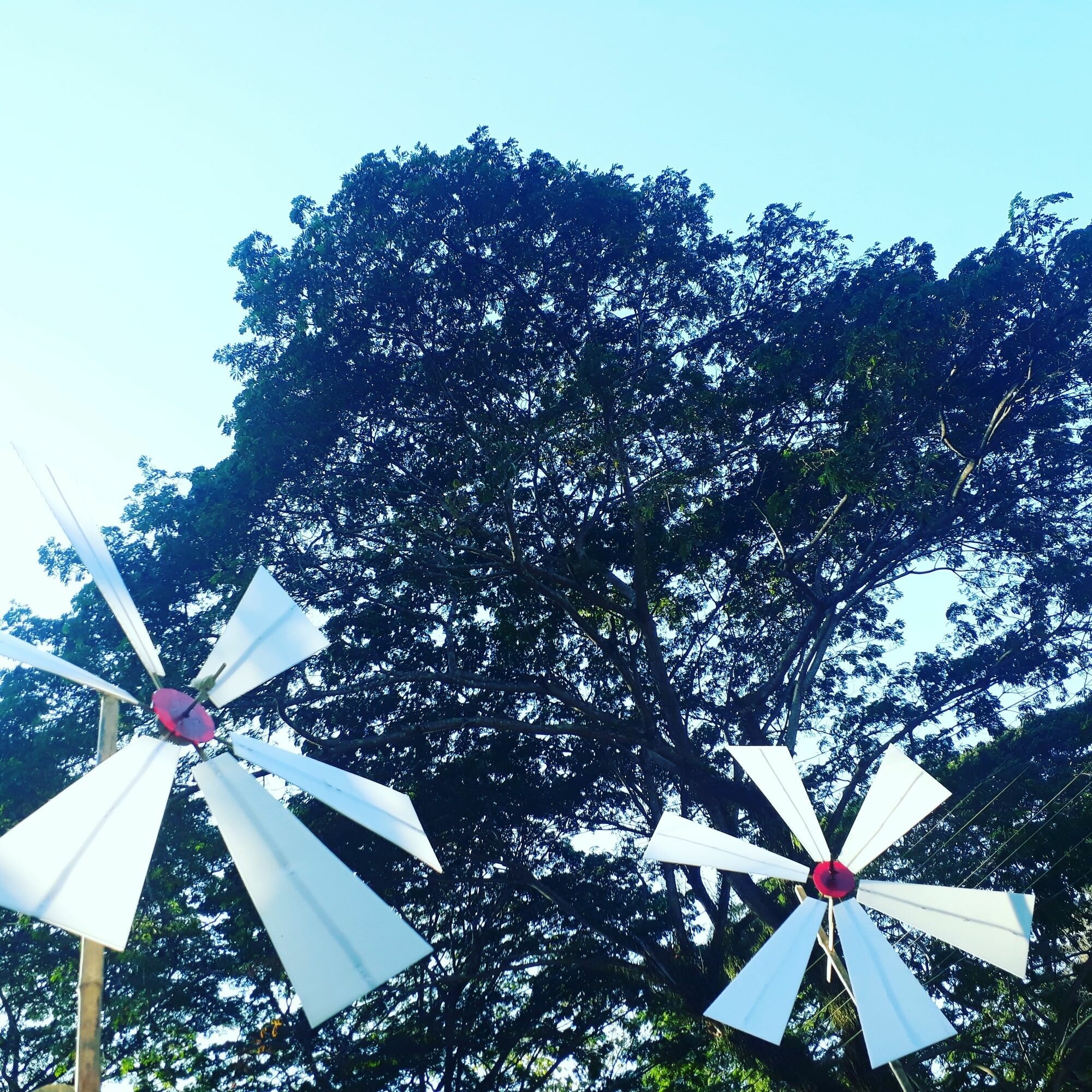 Фото Ui Bai Valley