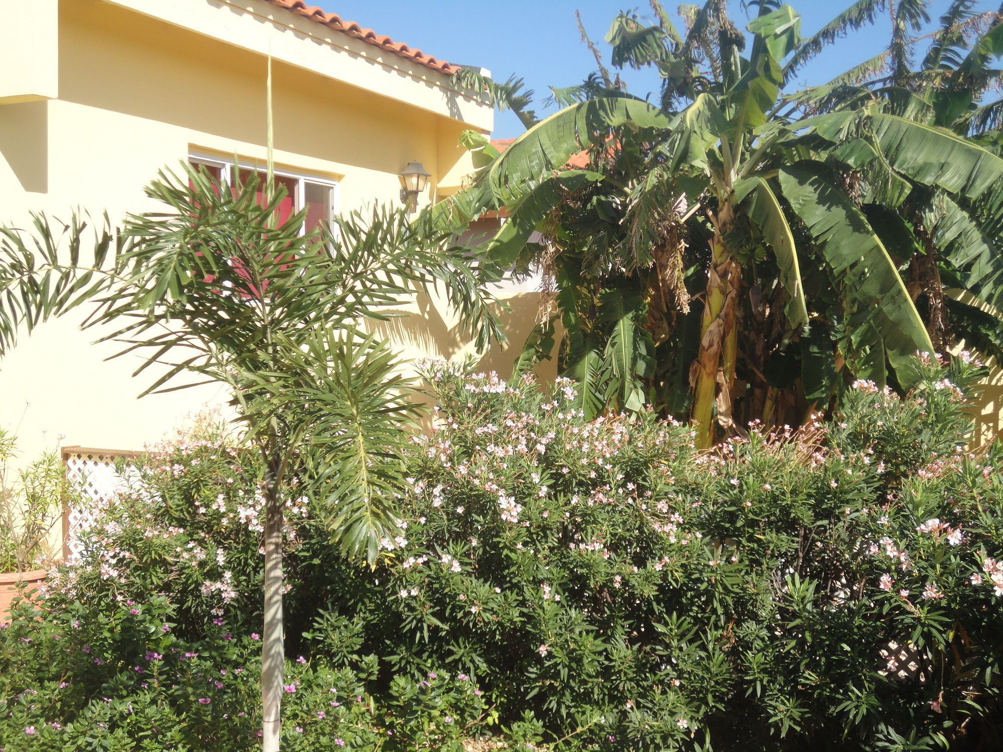 Фото Alta Montaña Apartments