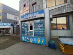 Славица (Pionerov Street, 13А), ice cream