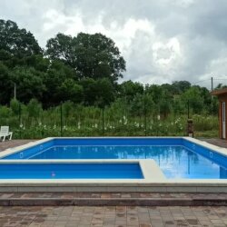 Фото Кипарис