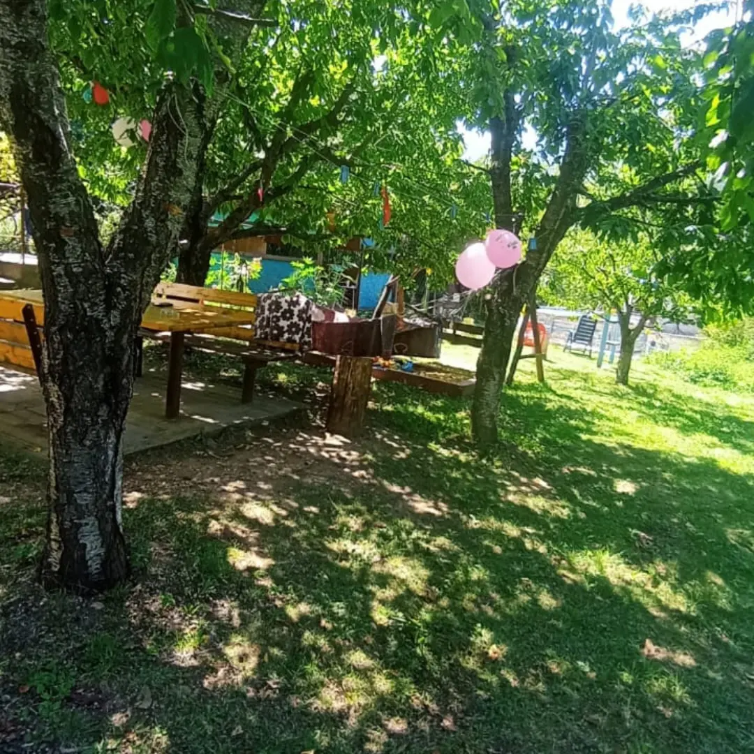 Фото Пчёлка