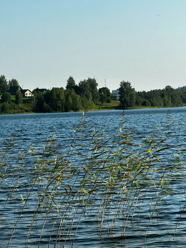 Фото Лунный свет