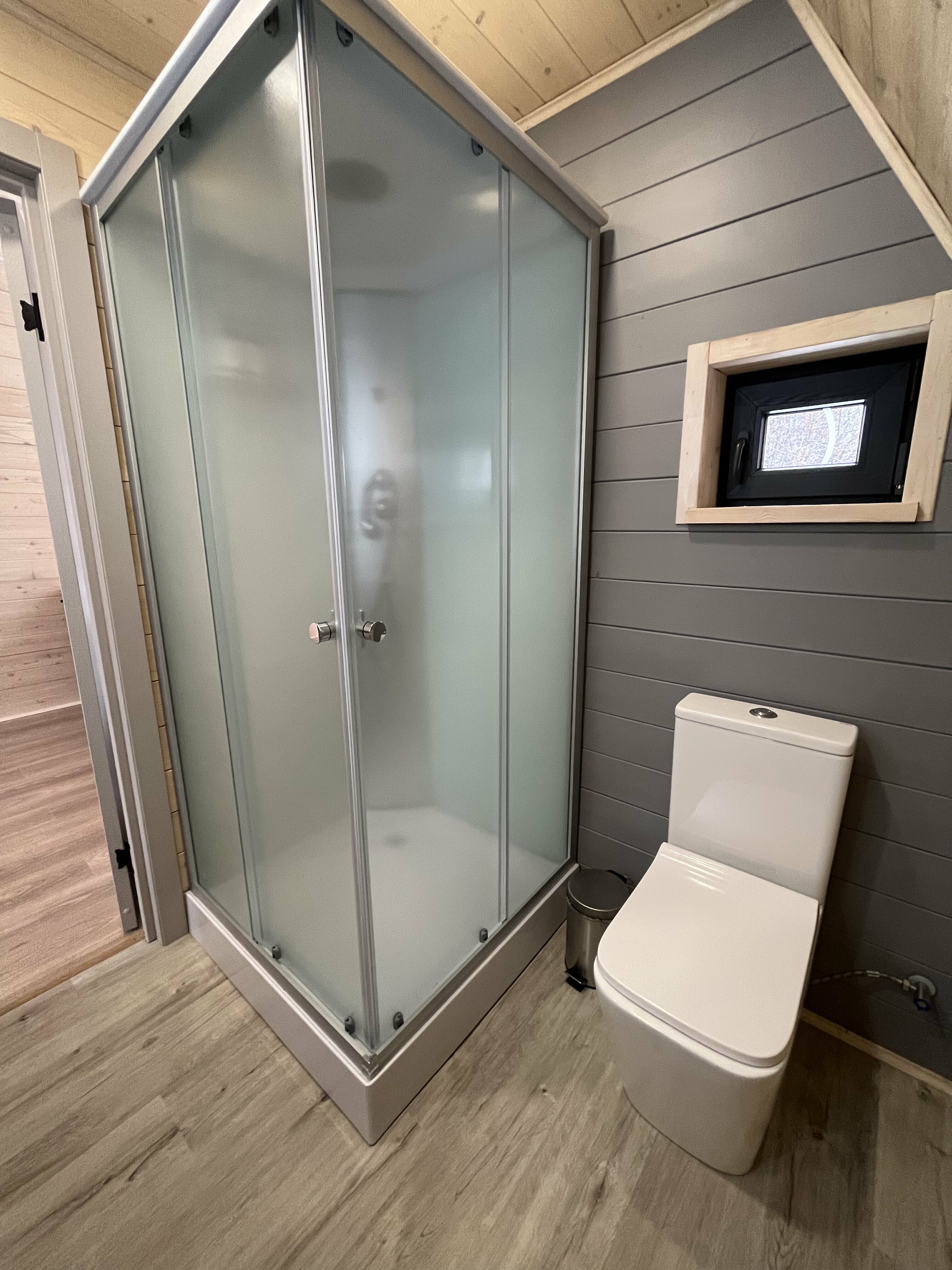 Фото Камыши