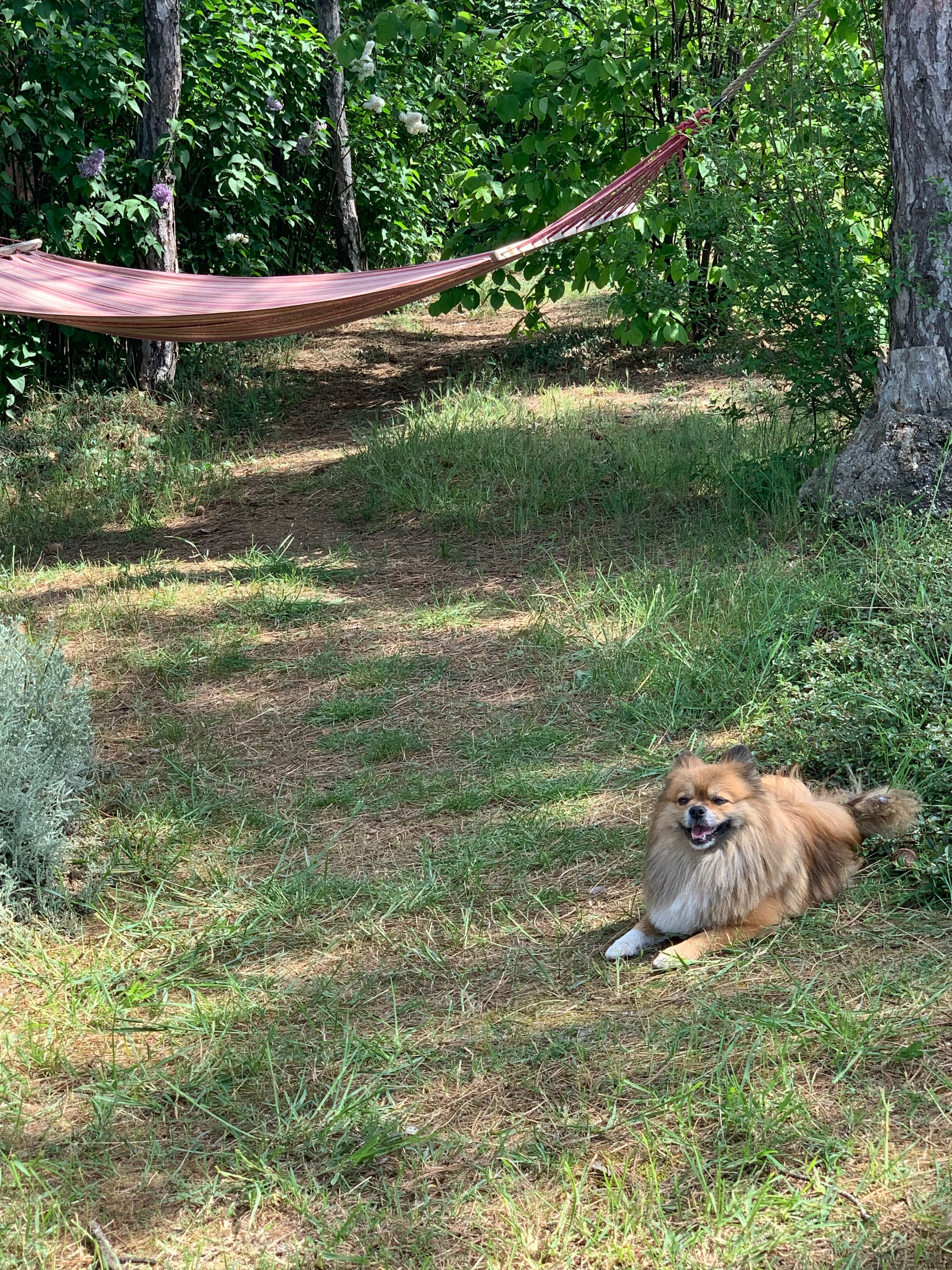 Фото Вилла Сова