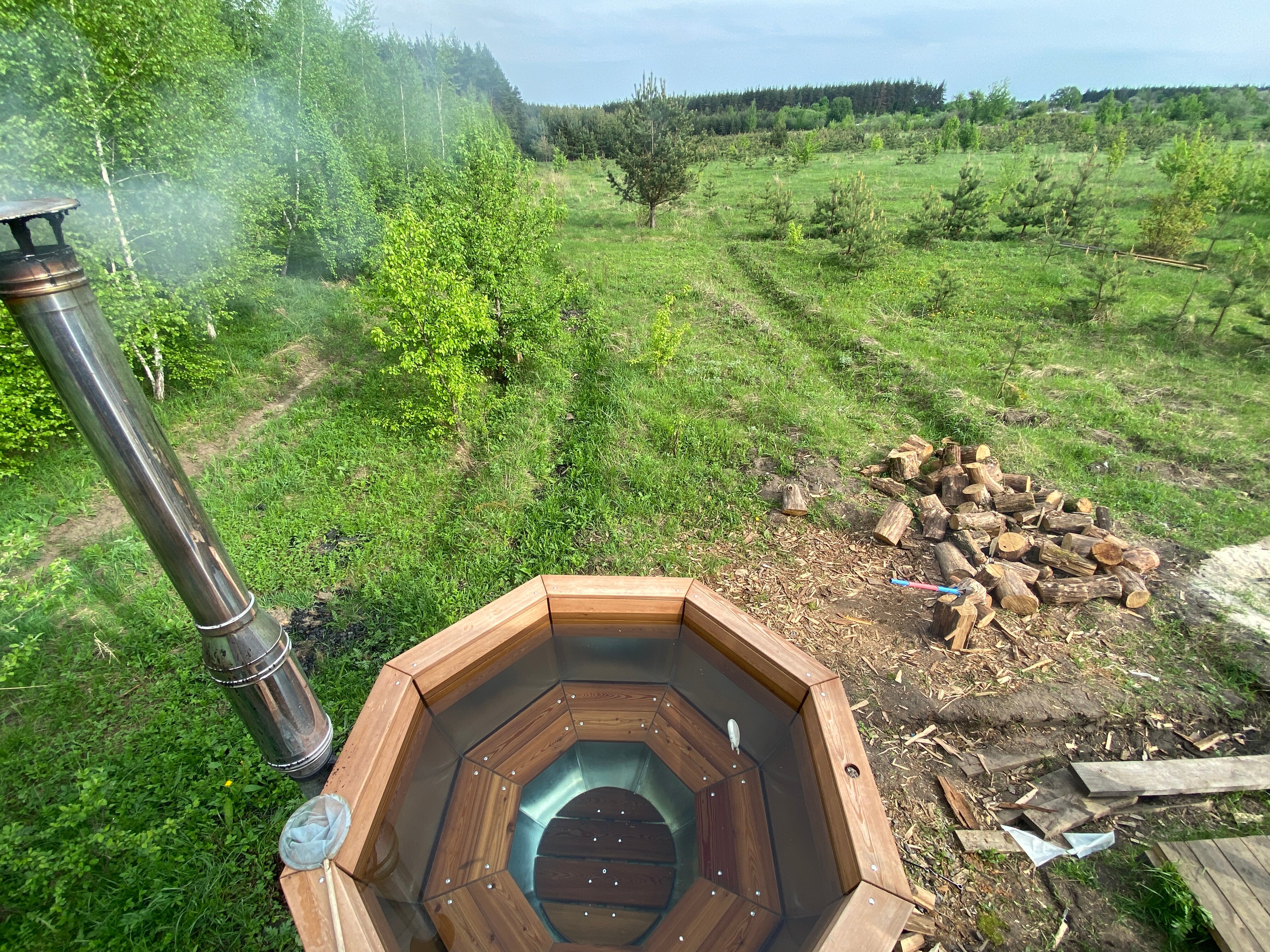 Фото Forest chan