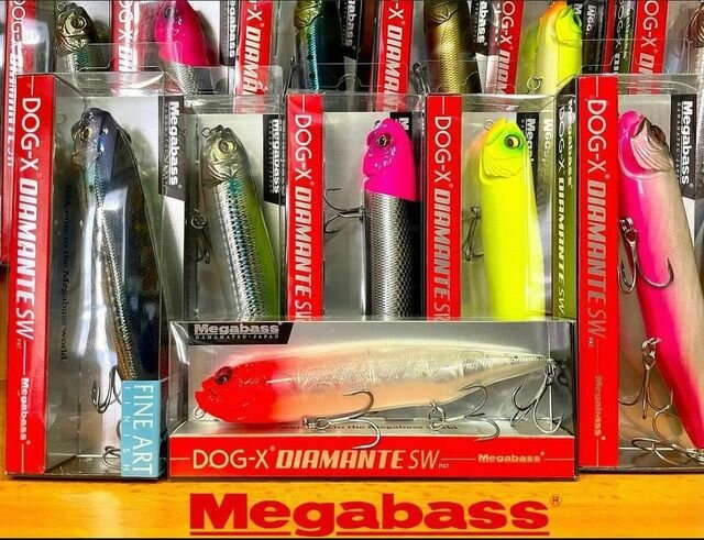 Fishing gear and supplies Anglers UAE, Dubai, photo
