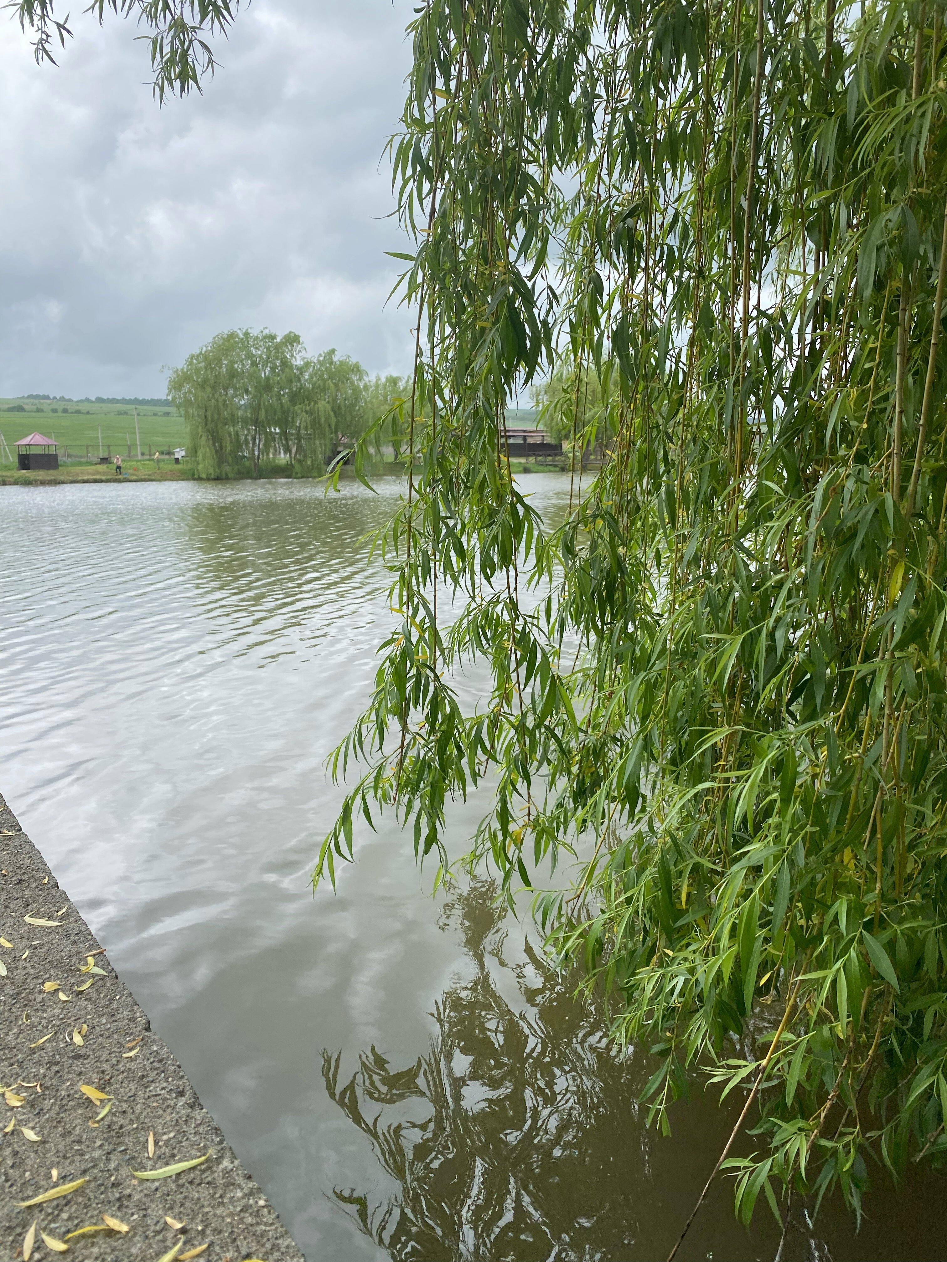 Фото Драгунская застава