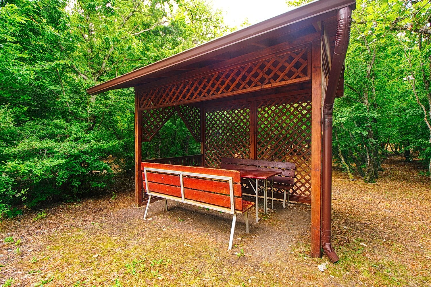 Фото Можжевеловая Роща