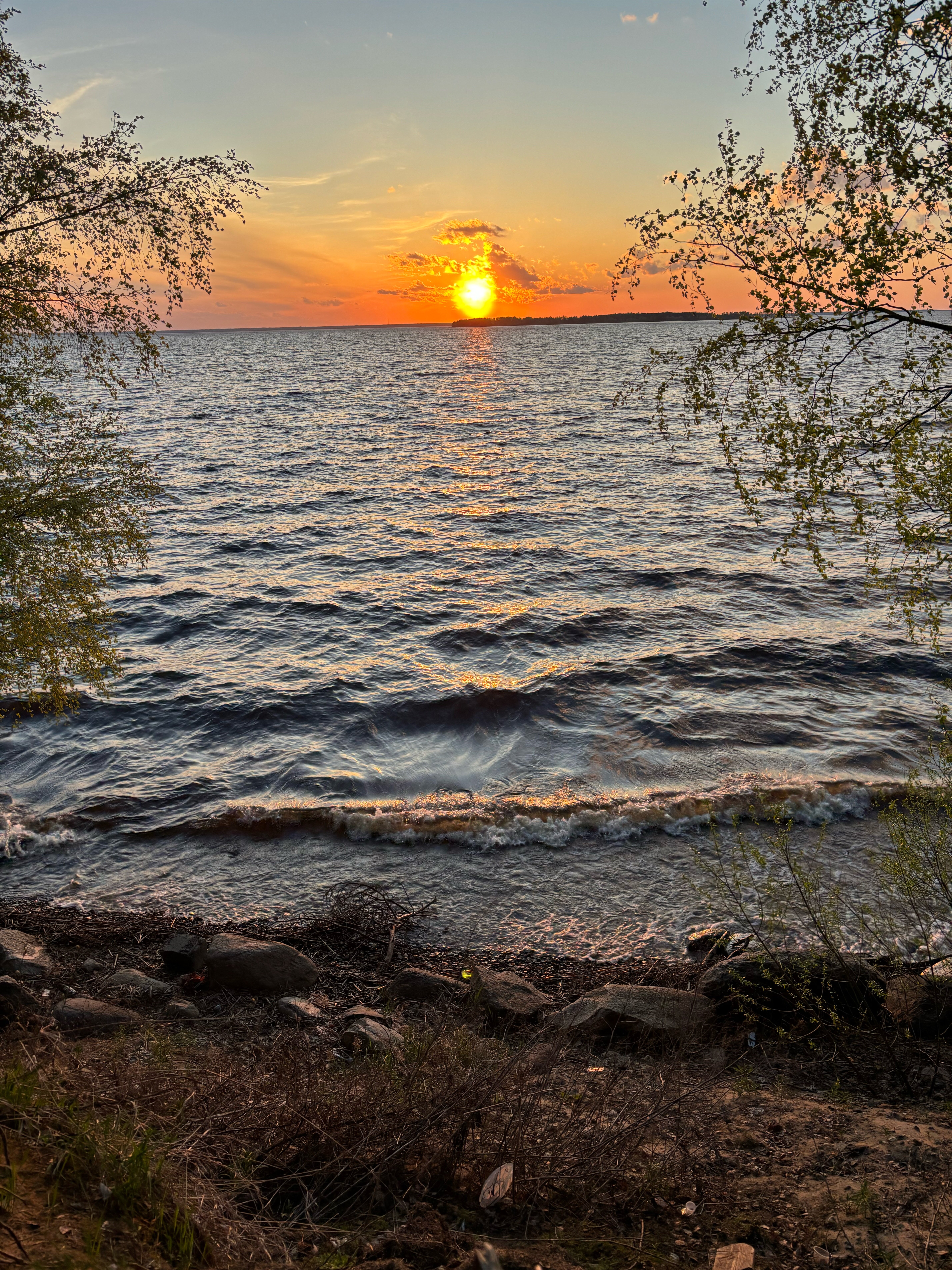 Фото Мини-отель Легково