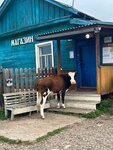 Магазин продуктов (Irkutskiy rayon, Listvyanskoye munitsipalnoye obrazovaniye, Settlement of Bolshiye Koty, Zarechnaya ulitsa), tienda de productos