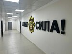 Ahmat (Saypuddina Lorsanova Street, 9), security company