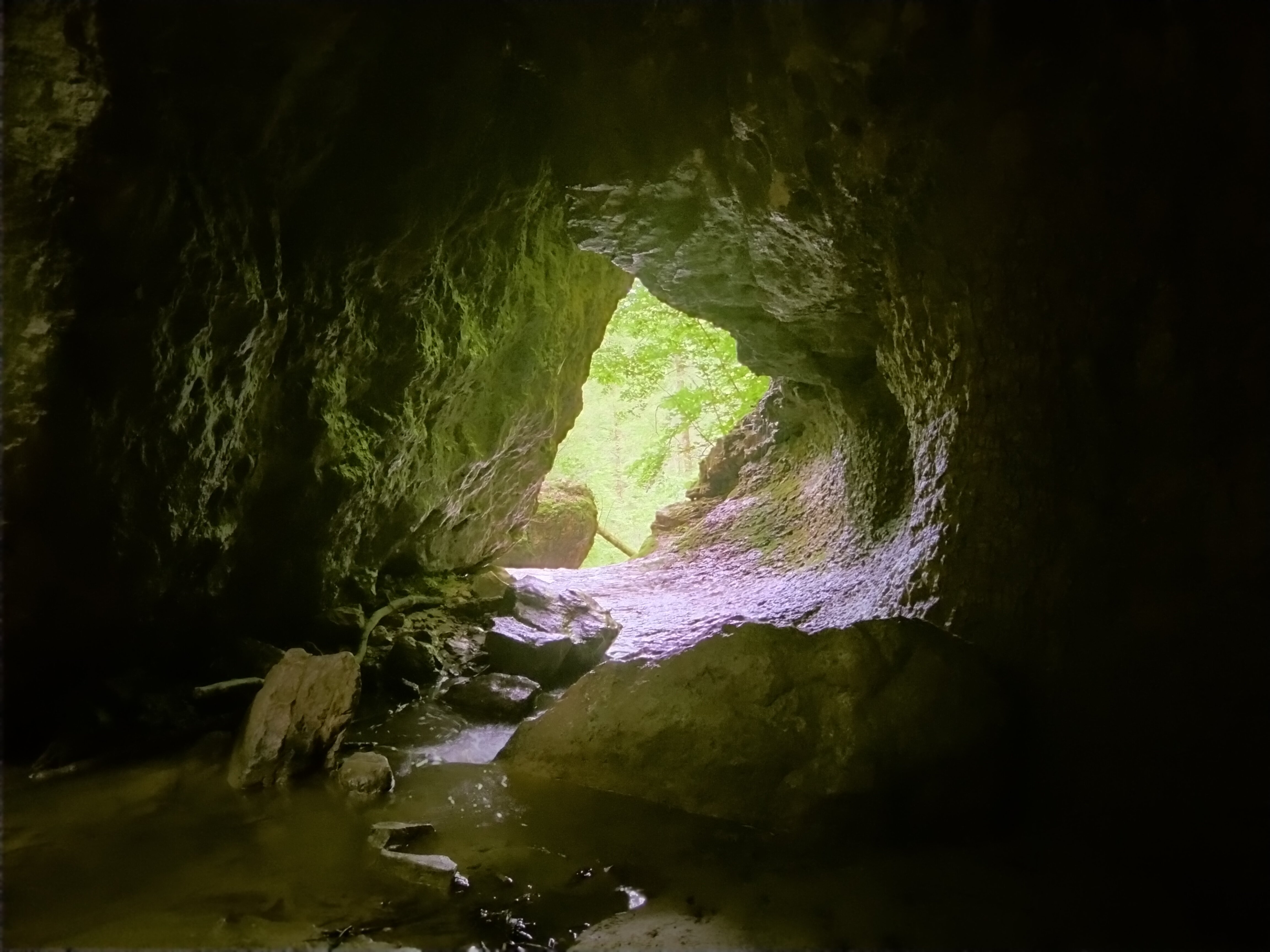 Фото У камина