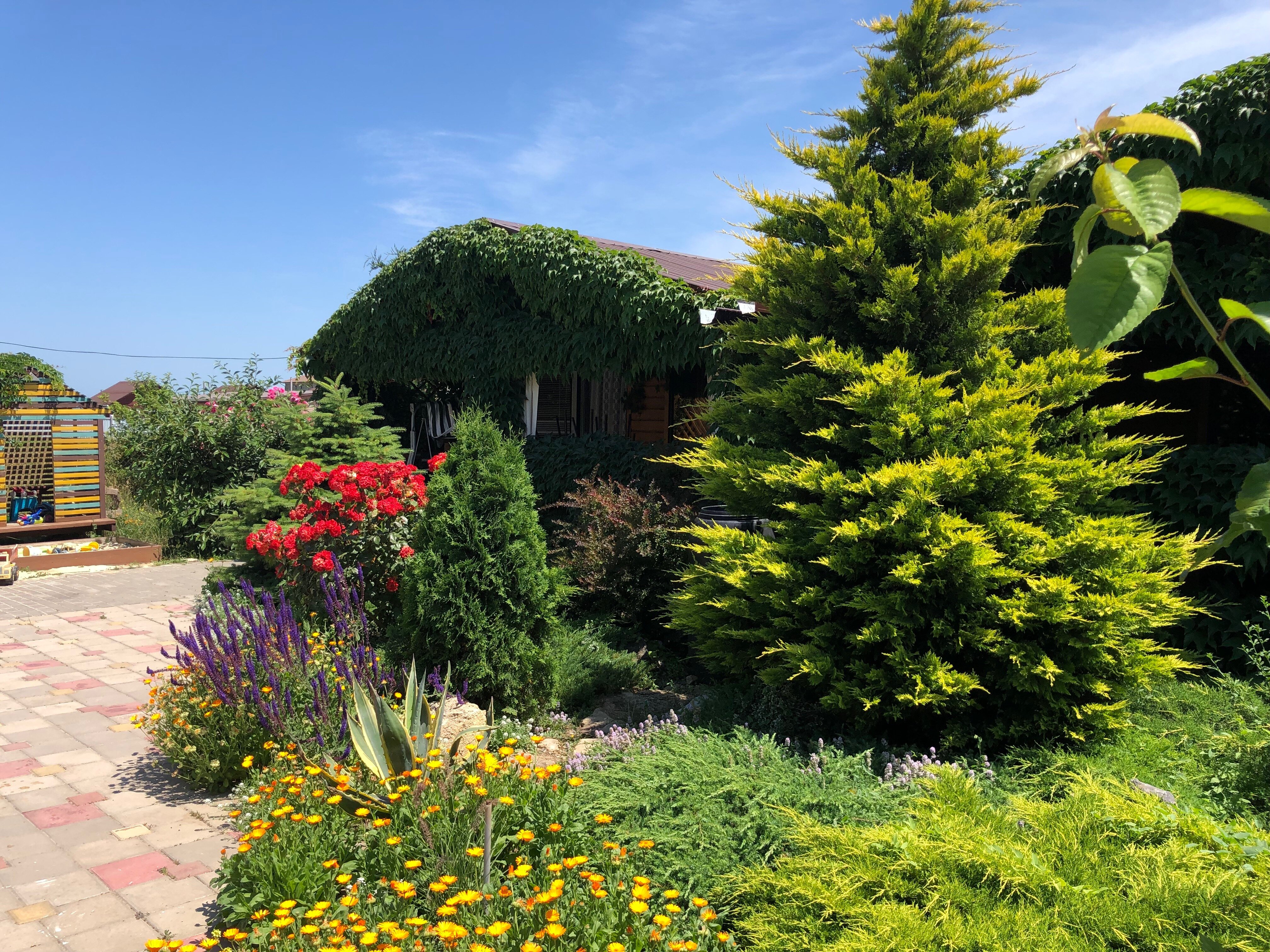 Фото Уютный Коттедж