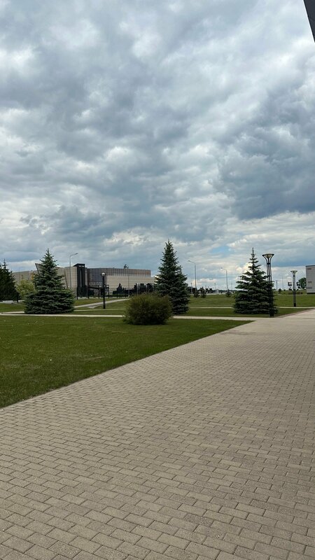 Прохоровское поле — фото 35